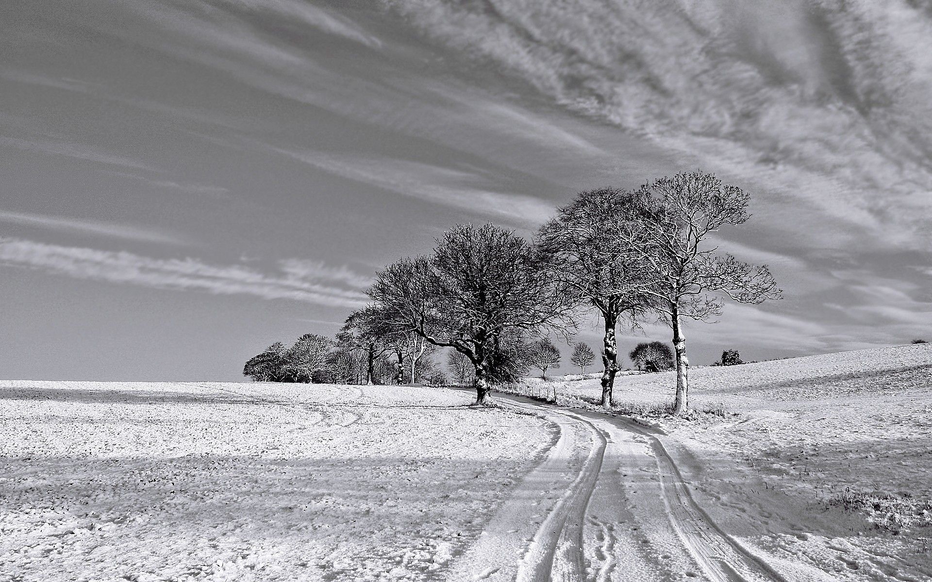 Fabulous Bild Black And White Winter Wallpaper And Black And White
