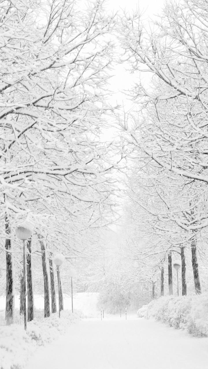 30++ White Winter iPhone Wallpaper