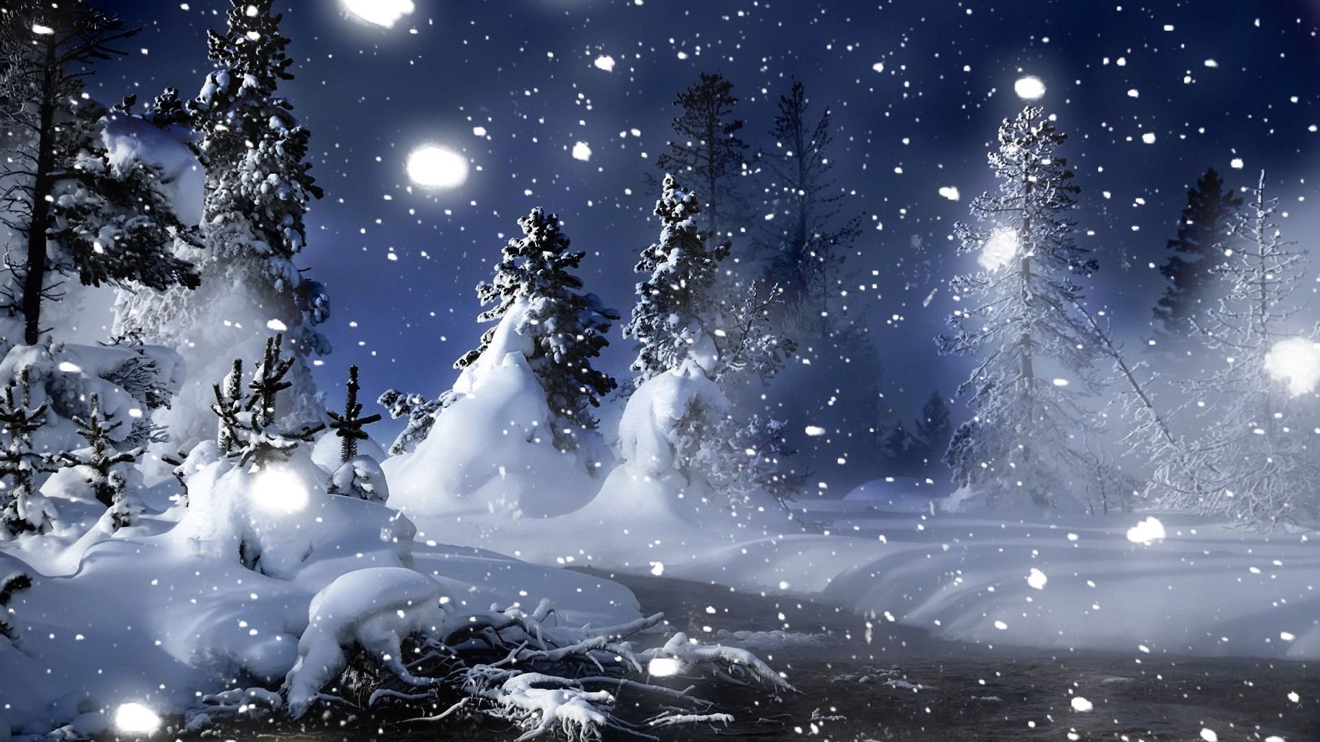 Winter Night Wallpaper