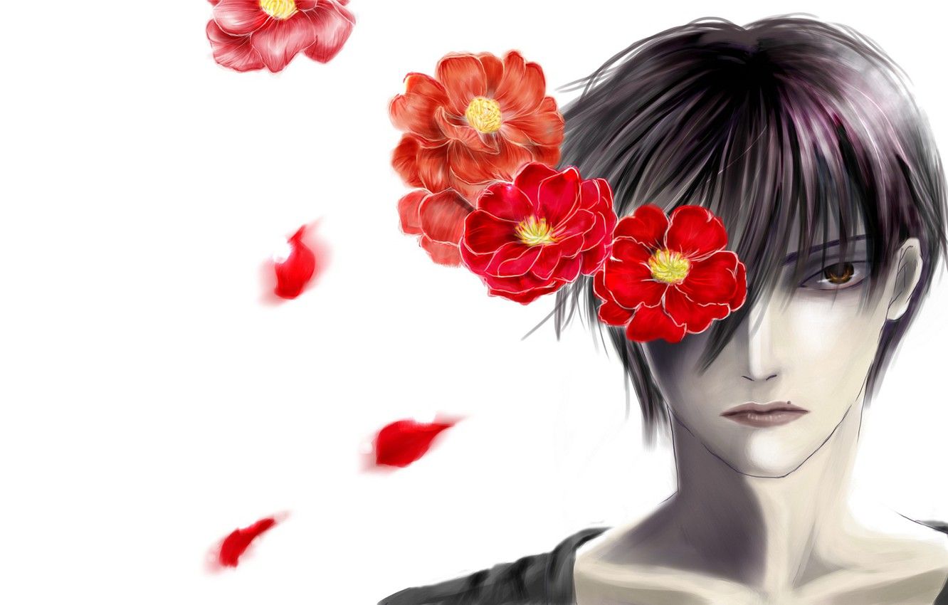 Wallpaper flowers, art, guy, Camellia, Yuuki Anzai, Line Of The Devil, Devils Line image for desktop, section сёнэн