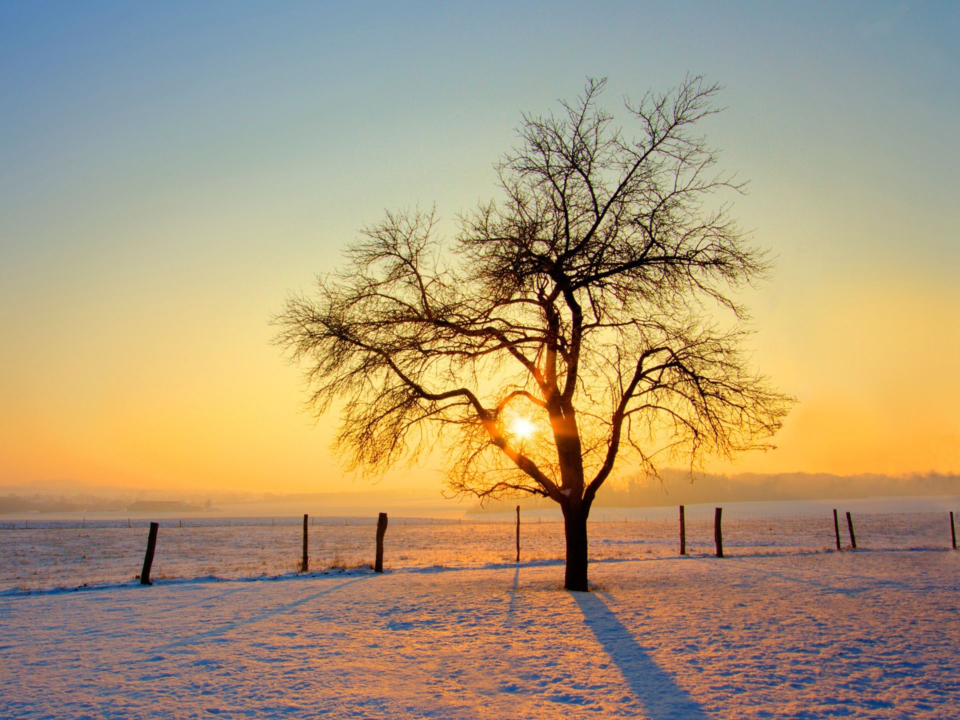 Cold Morning Wallpaper Winter Nature Wallpaper in jpg format for free download