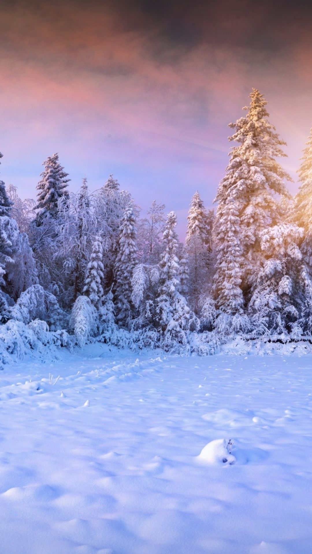Download Winter Wallpaper For Mobile Gallery