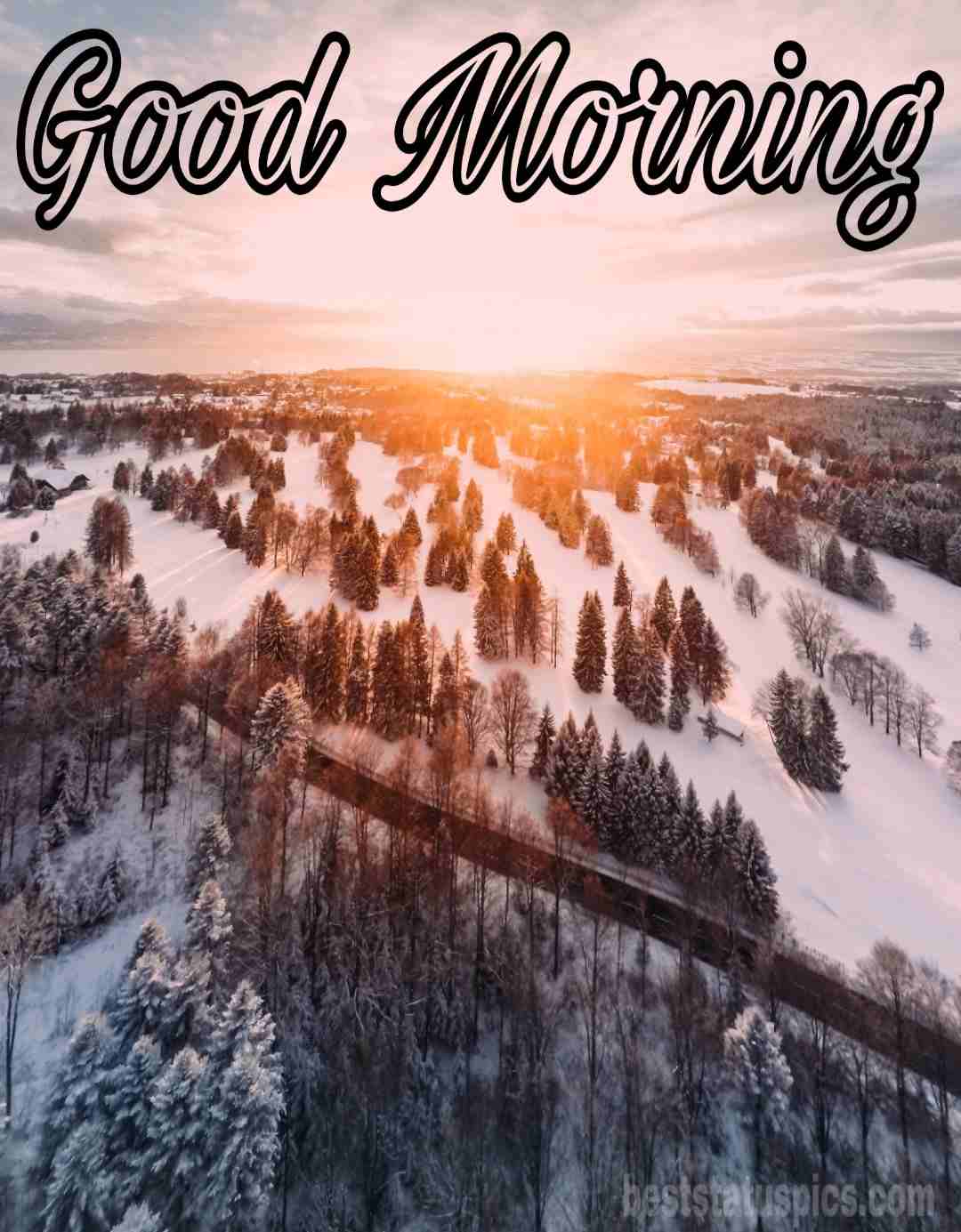 Beautiful Good Morning Nature HD Image Pics [2021]. Best Status Pics