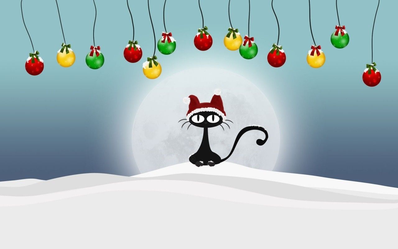 cat christmas christmas ornaments santa hats snow Wallpaper HD / Desktop and Mobile Background