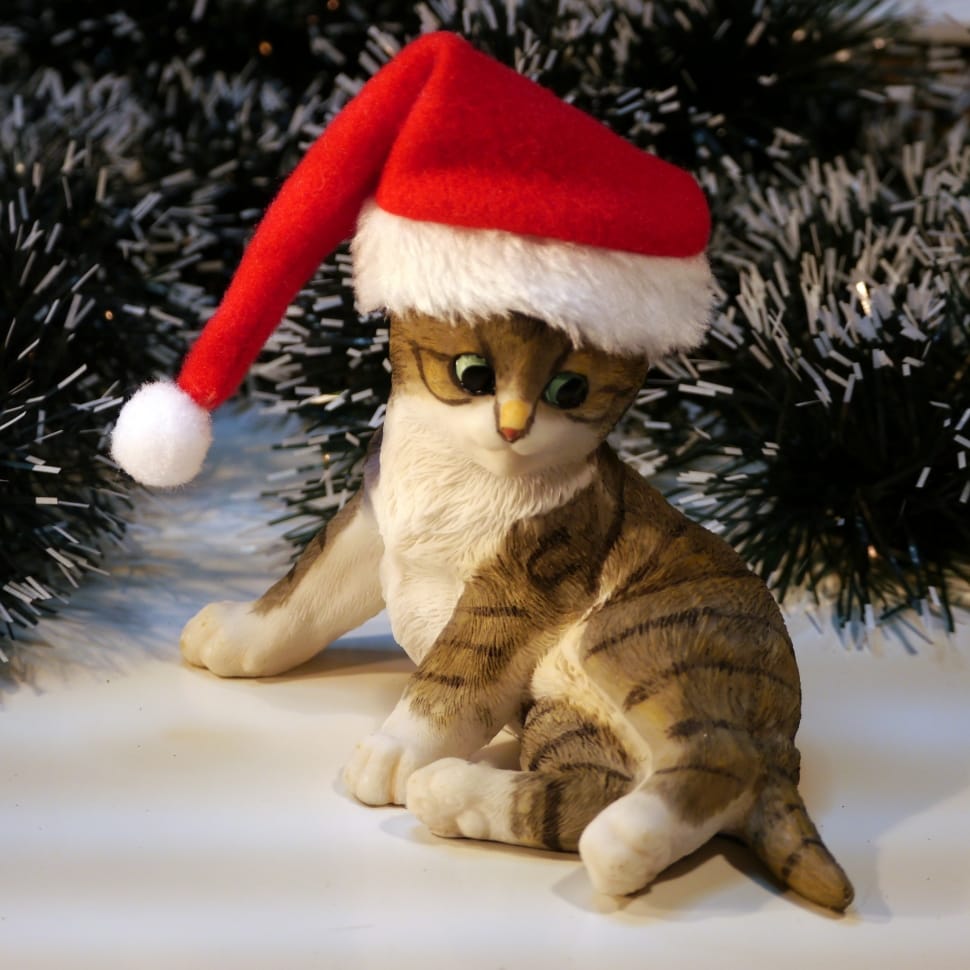 cat wearing santa hat figurine free image