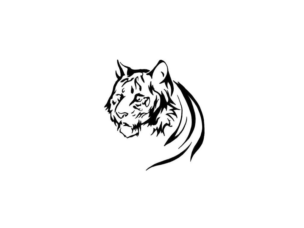 Tiger Images | Free HD Backgrounds, PNGs, Vectors & Illustrations - rawpixel
