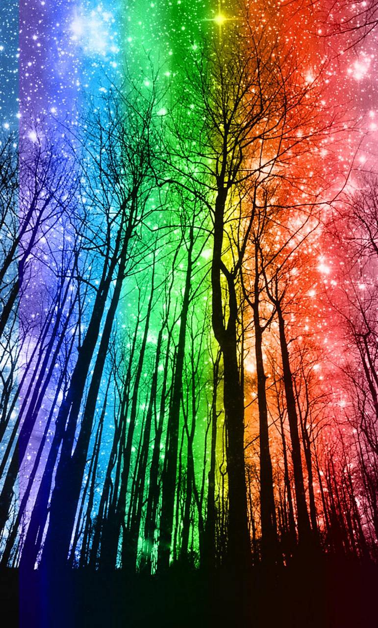 Rainbow Forest Wallpaper Free Rainbow Forest Background