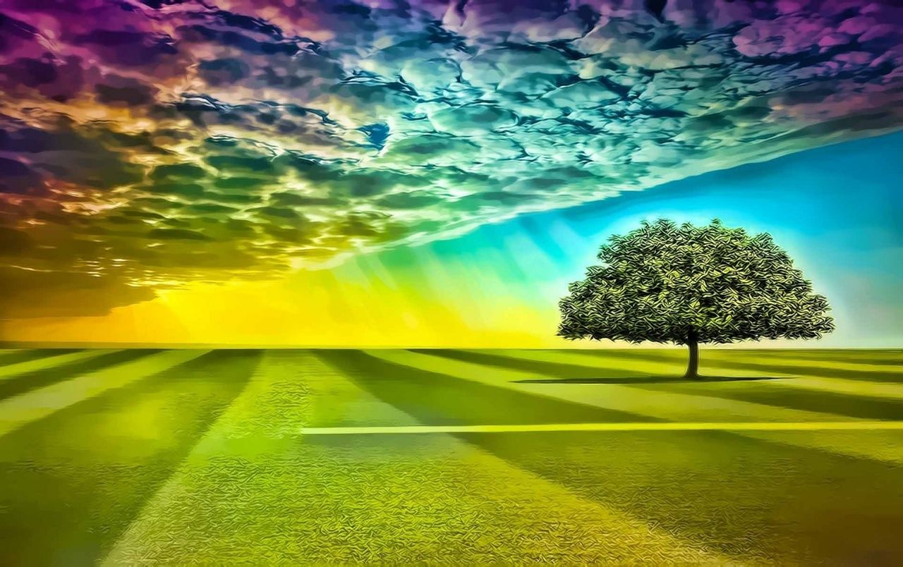 Tree Rainbow Sky & Grass Field wallpaper. Tree Rainbow Sky & Grass Field