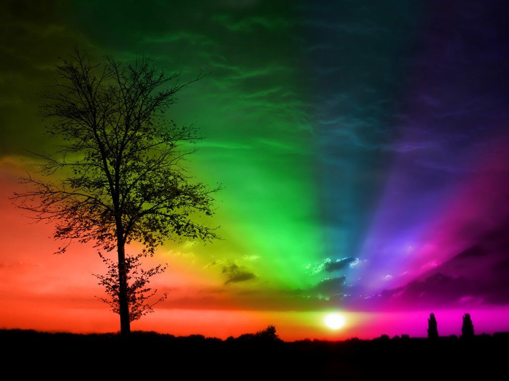 Download wallpaper: sunset, tree, Rainbow, download photo, wallpaper for desktop