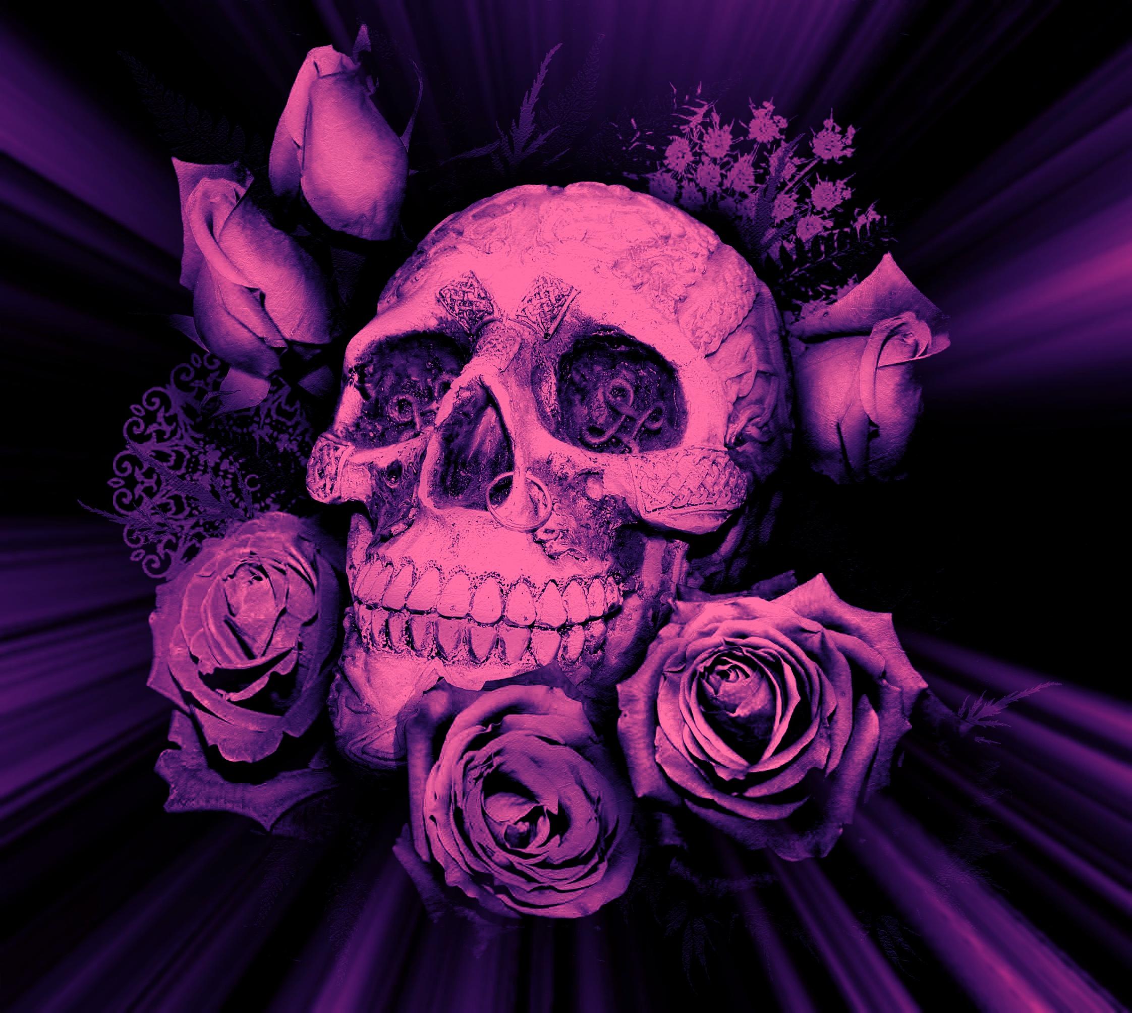 Purple Skulls And Roses Wallpaper And Purple Skull Wallpaper & Background Download