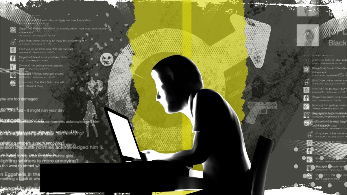 Incels: a definition and investigation into a dark internet corner