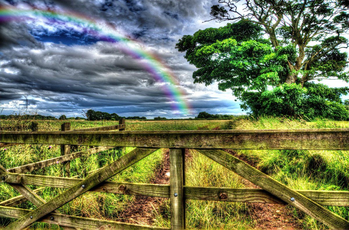 HD Wallpaper by Kevan Craft #nature #rainbow #tree #field #dusk #sky #nature #blur #wallpaper #HDwallpaper #photography