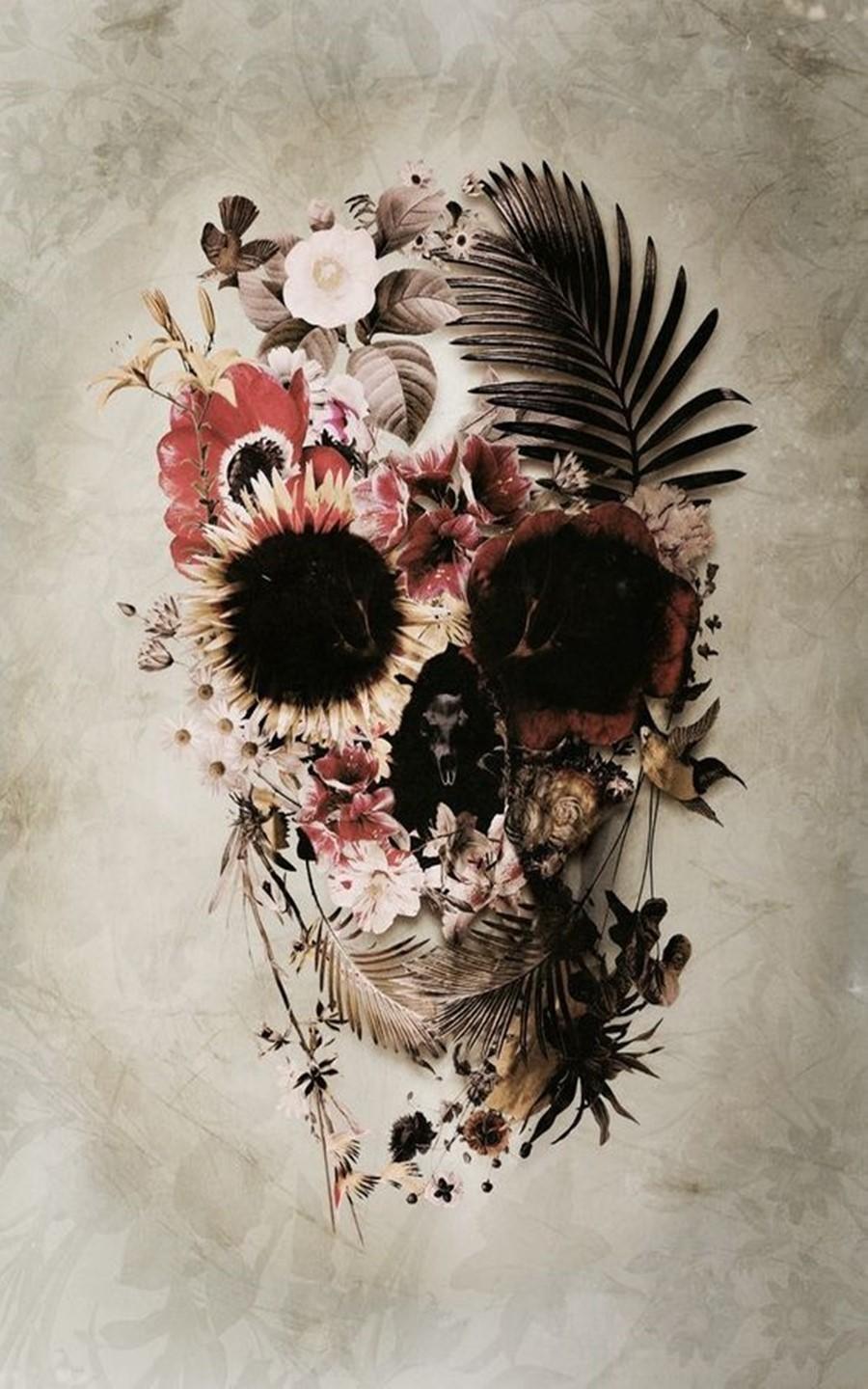 Wallpaper Skull Head Plant Mouth Flower Background  Download Free  Image