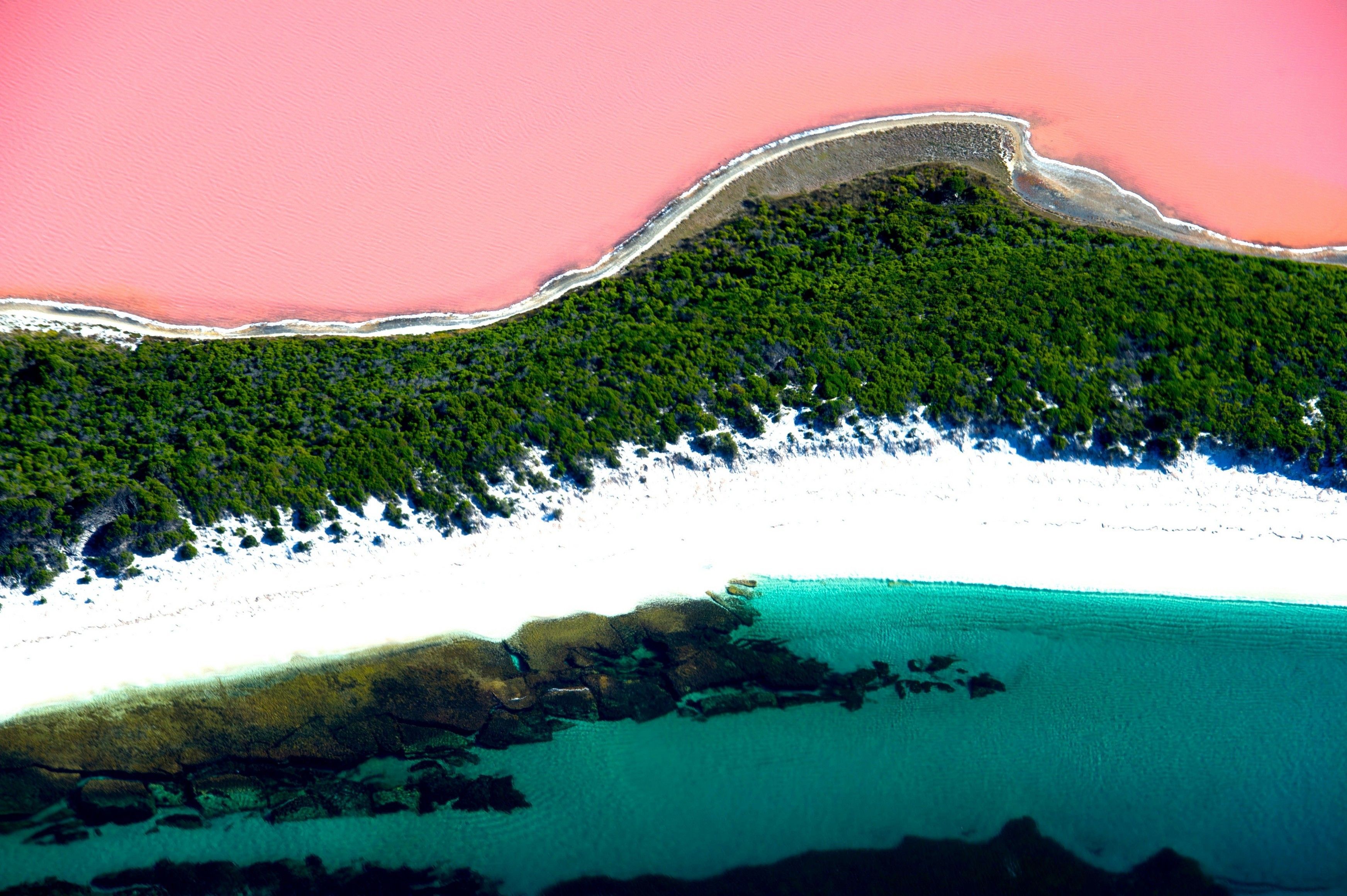 Lake Hillier Australia Pink Lake Wallpaper HD. Lake hillier, Western australia travel, Western australia tourism