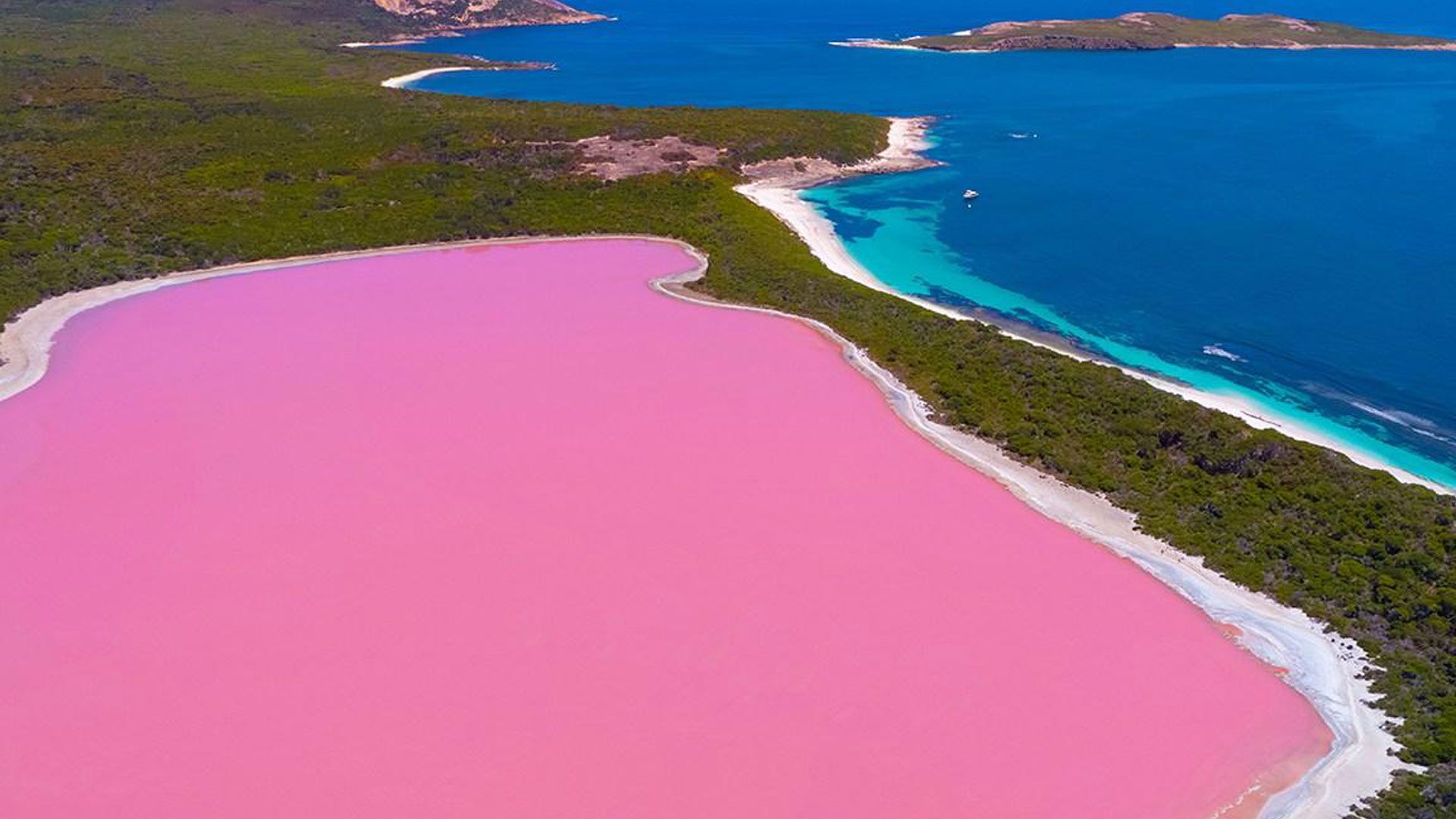 Pink Lake Hillier