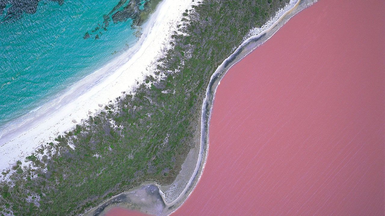 Lake Hillier: The Story Behind Australia's Pink Lake. Condé Nast Traveler