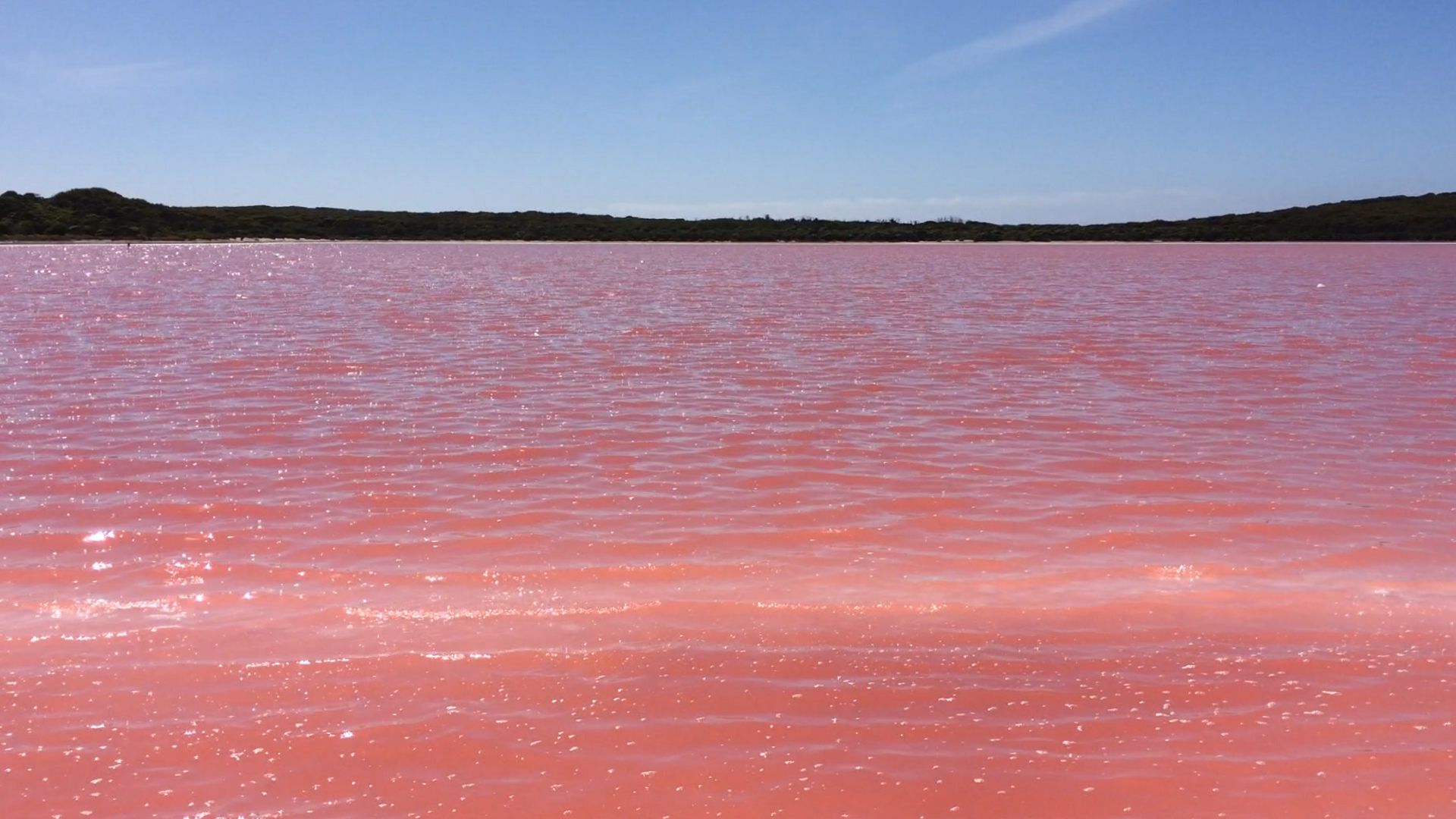 Why Is This Lake in Australia Bright Pink?
