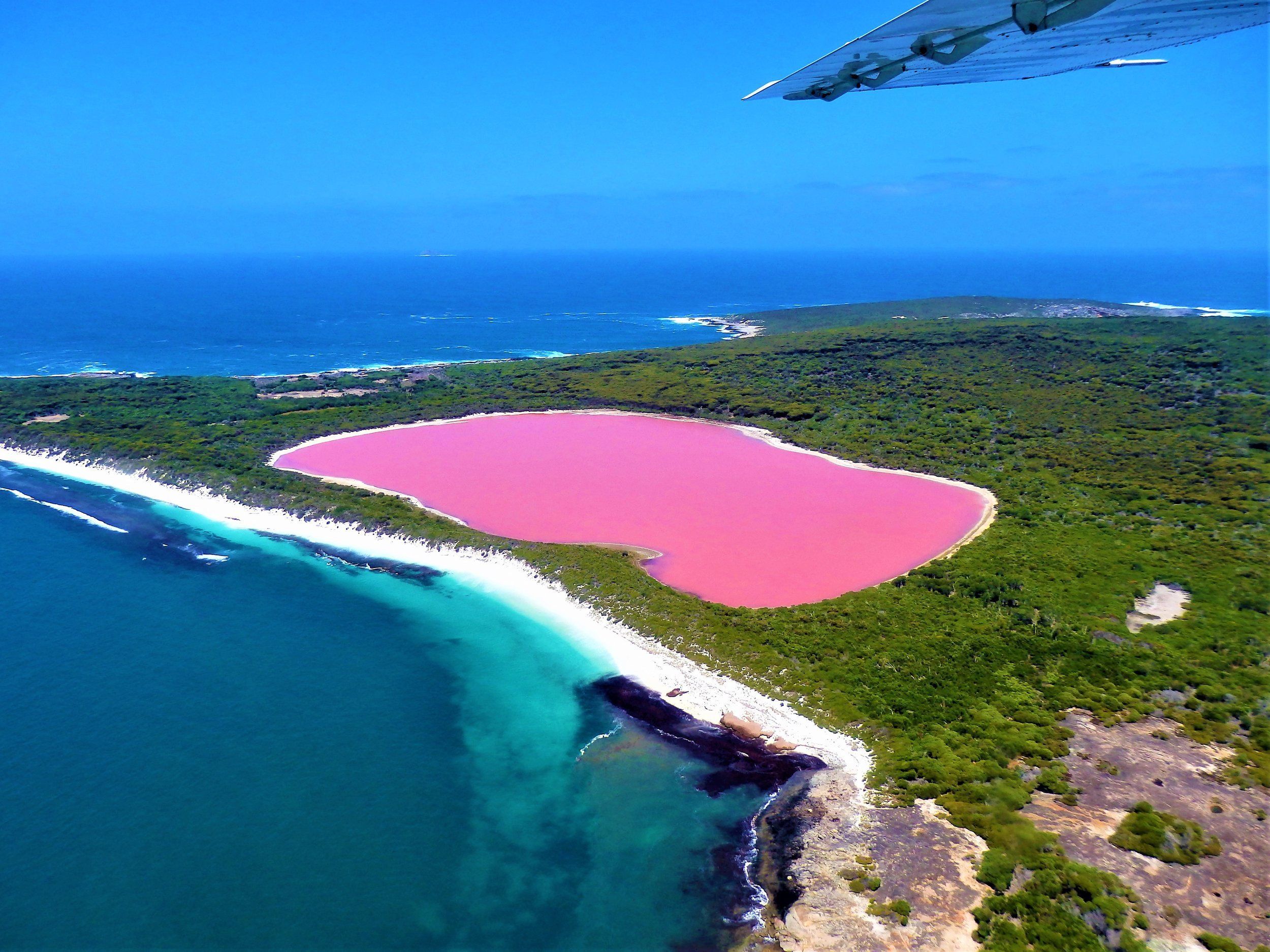 Lake Hillier, Middle Island, Australia. Lake hillier, Lake hillier australia, Pink lake