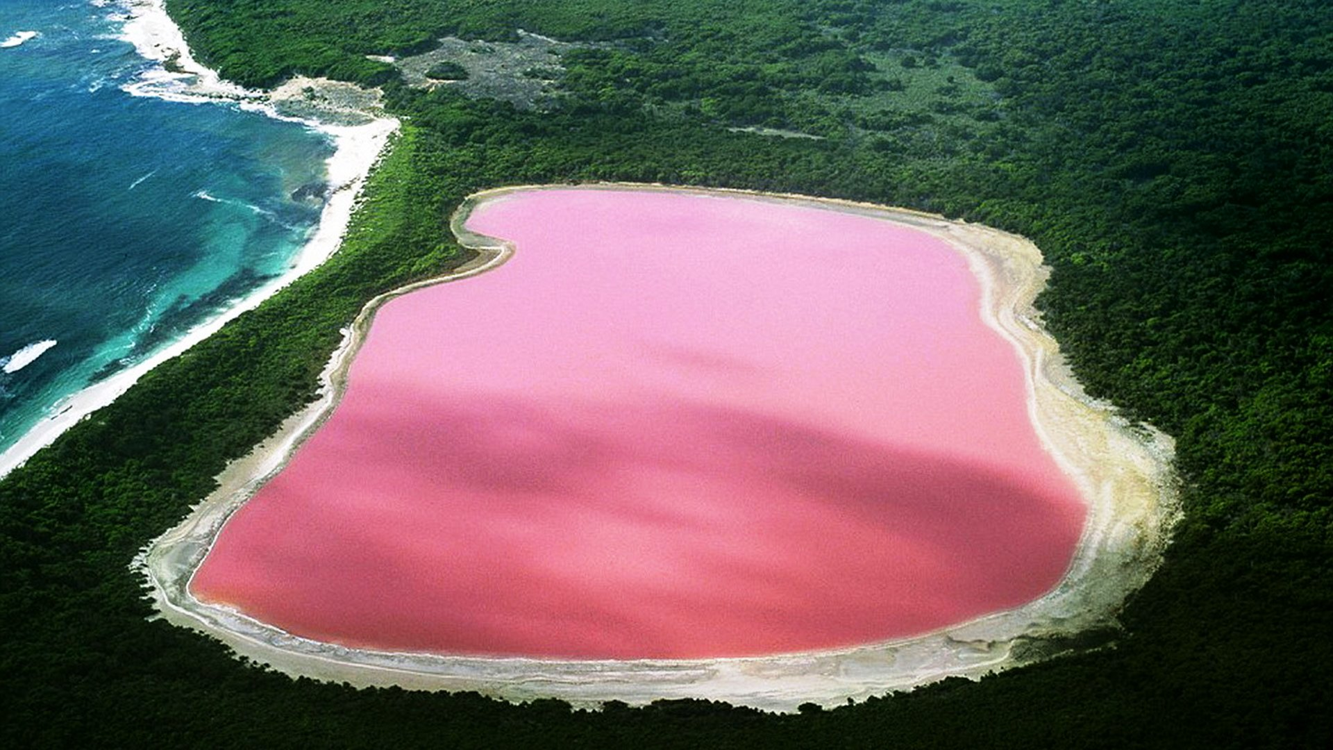 This Lake In Australia Is Pink. Here's Why