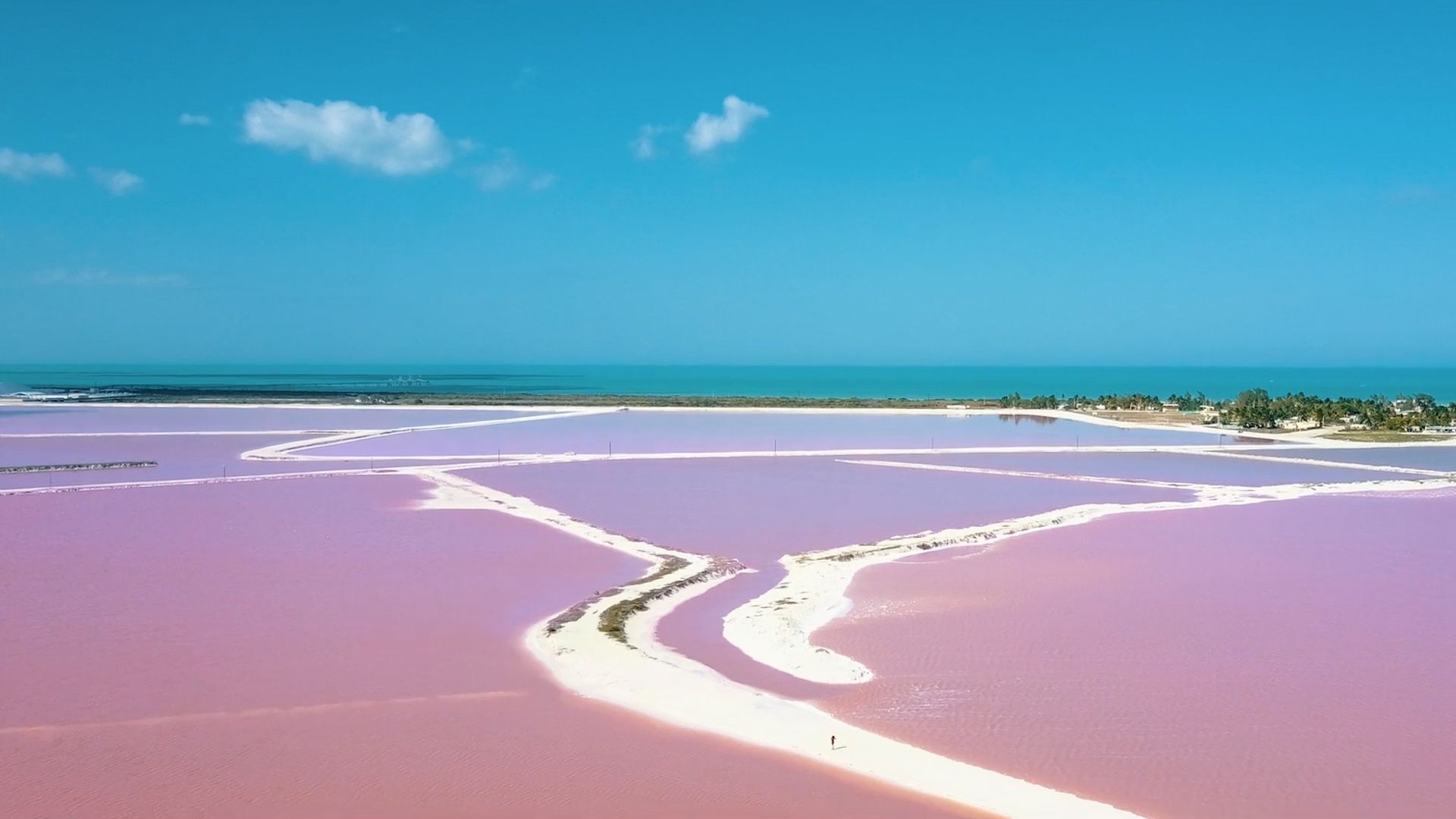The Pink Lakes of Las Coloradas