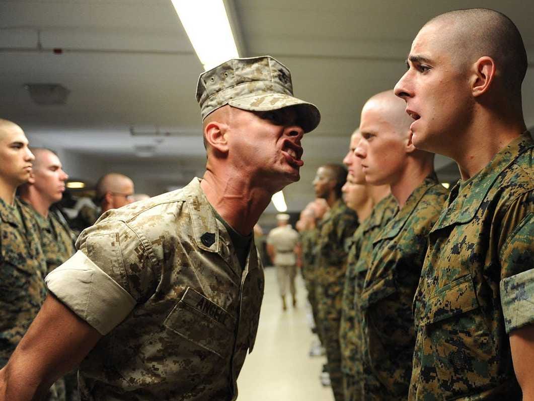Picture Of Marine Drill Instructors Screaming In People's Faces