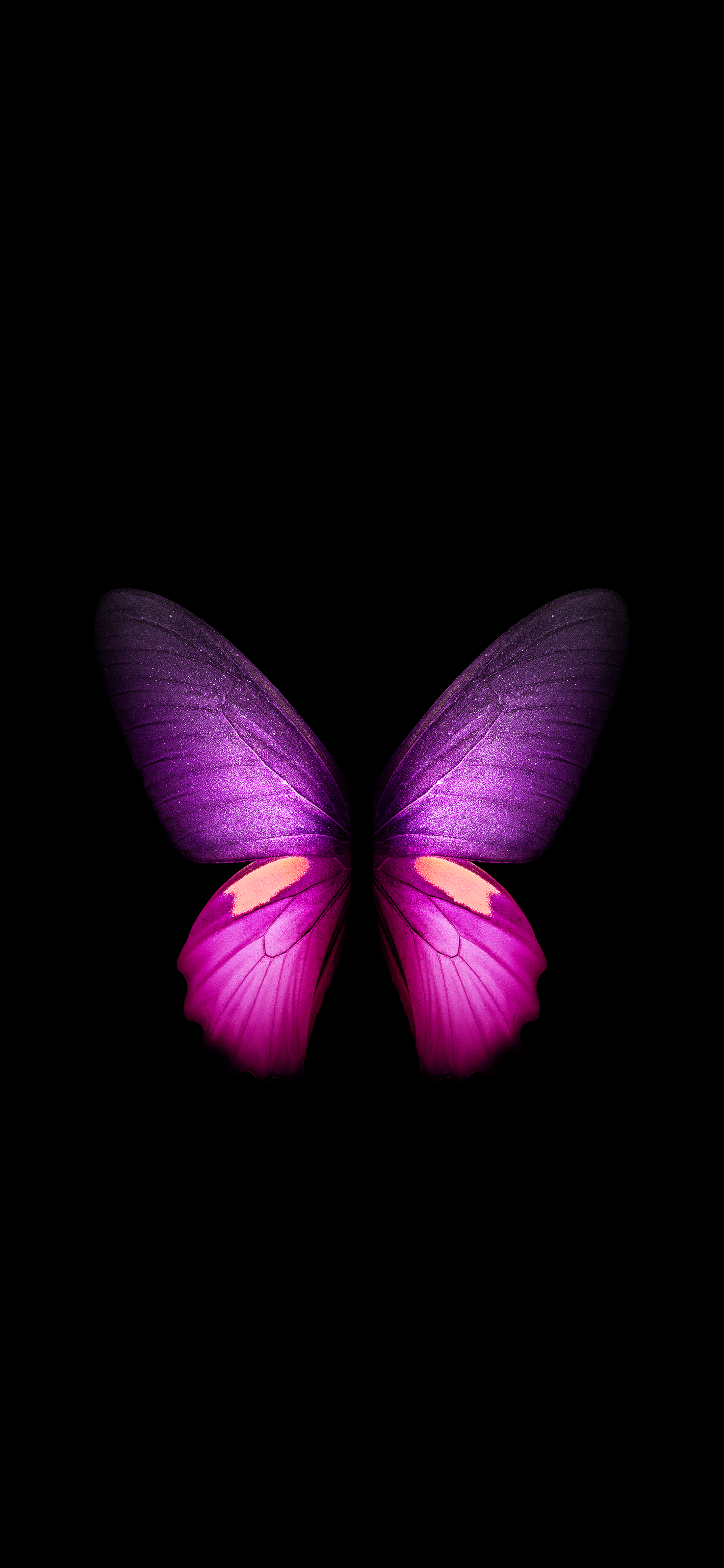 Butterfly Fold (Black)