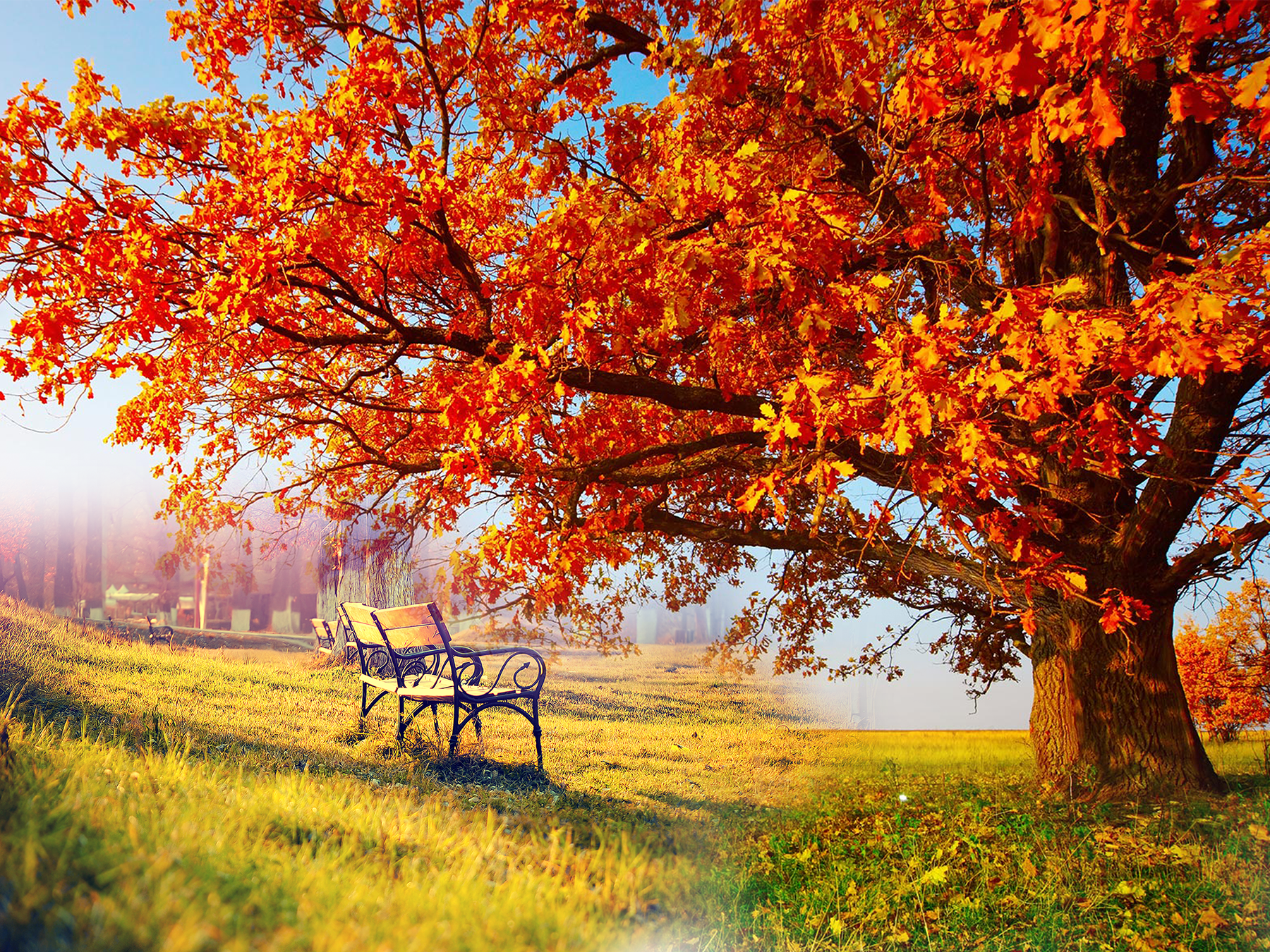 Autumn Wallpaper Download