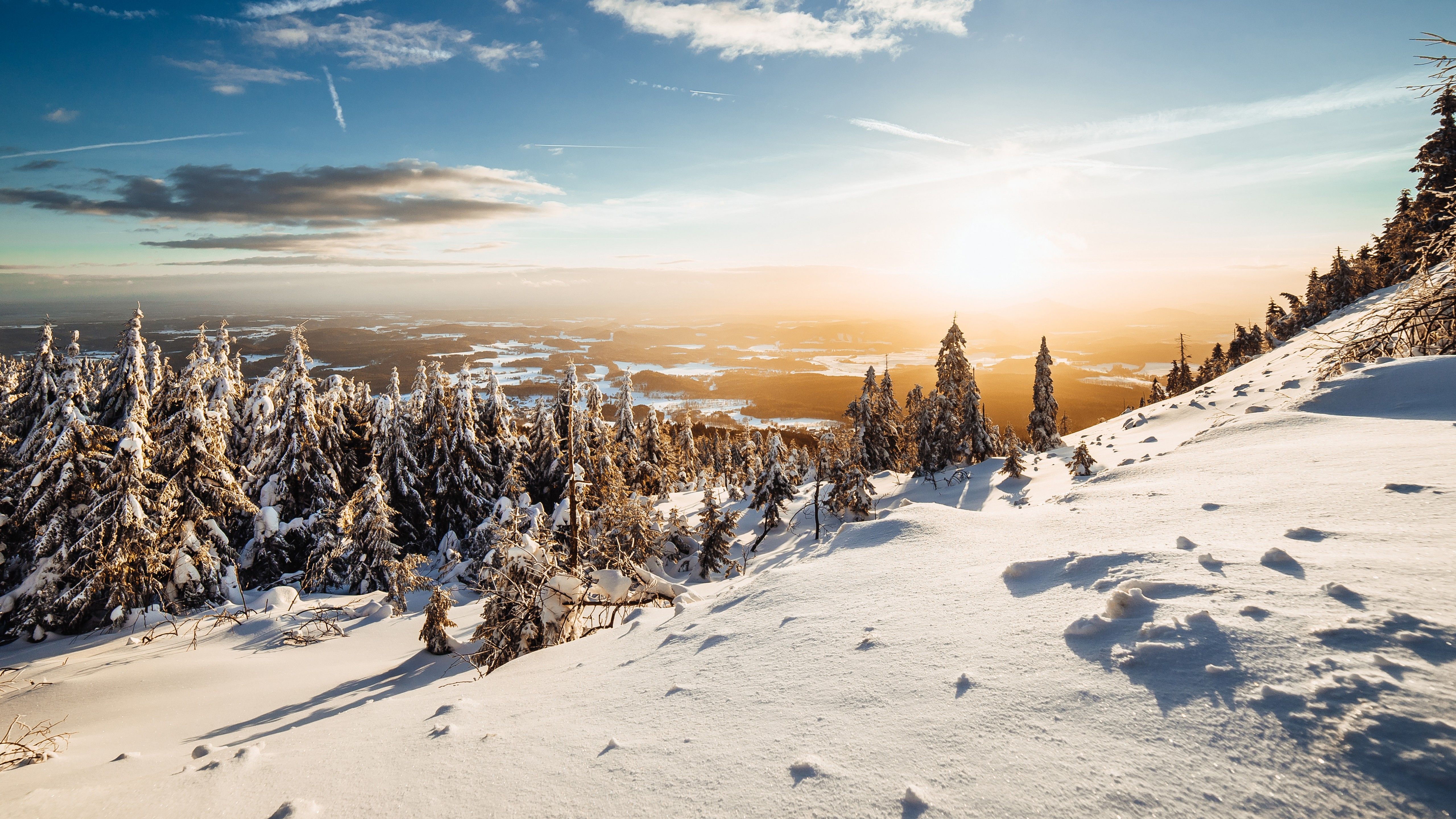 Winter 4K Wallpaper, Landscape, Pine trees, Frosted trees, Sunny day, Snow, 5K, Nature