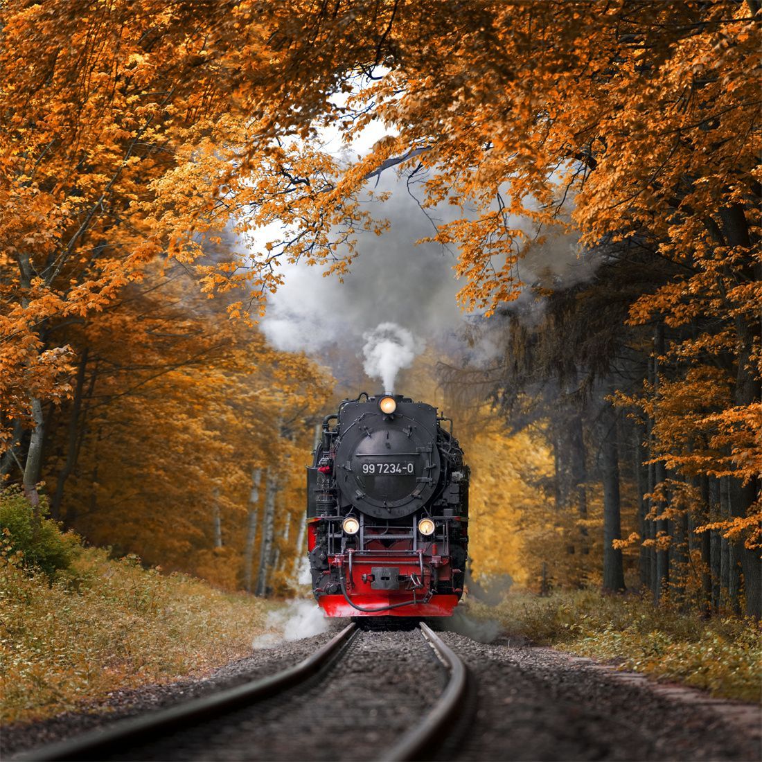 Autumn Journey. Train, Old train, Train tracks