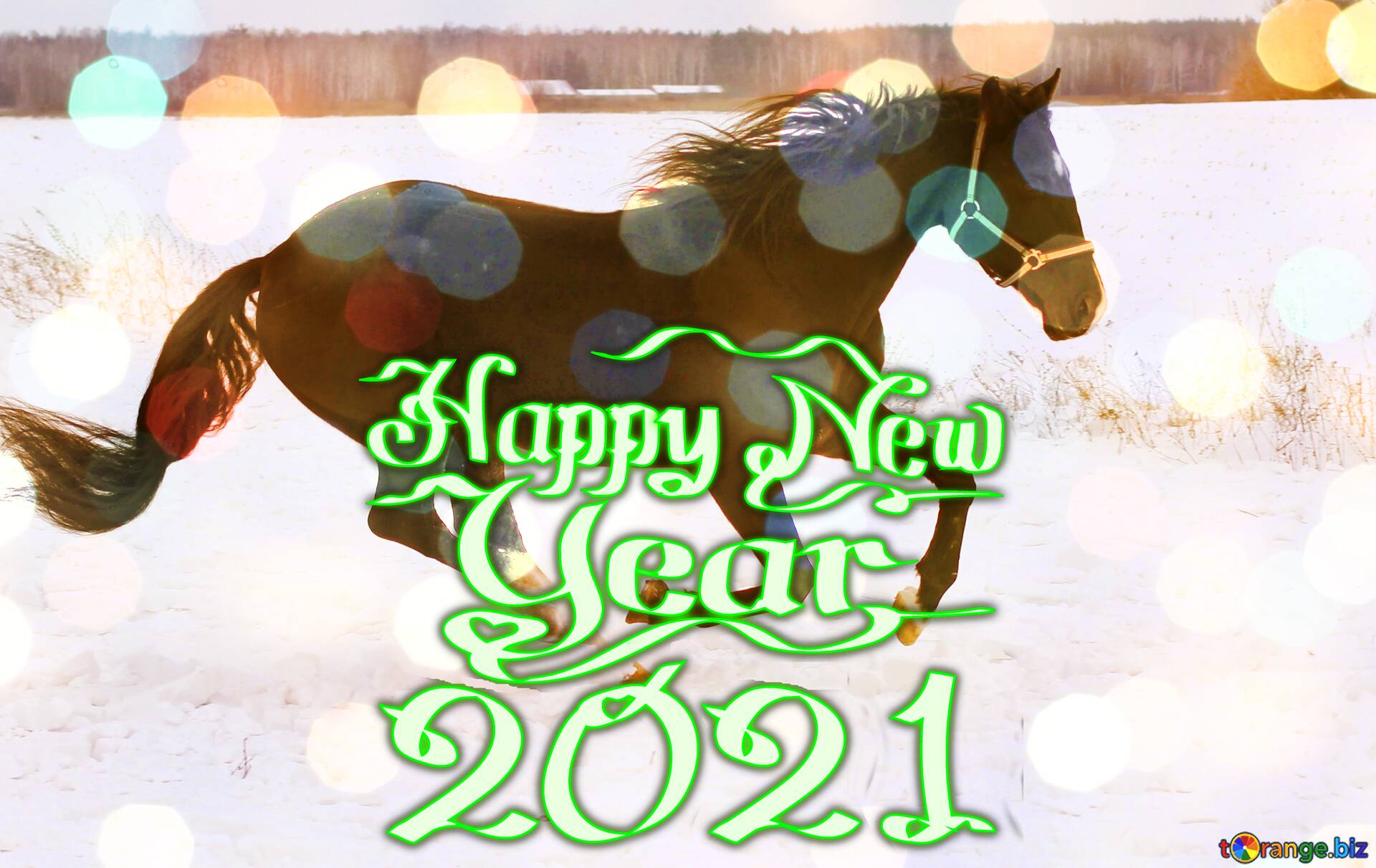 Download Free Picture Horse Happy New Year 2021 On CC BY License Free Image Stock TOrange.biz Fx №179022