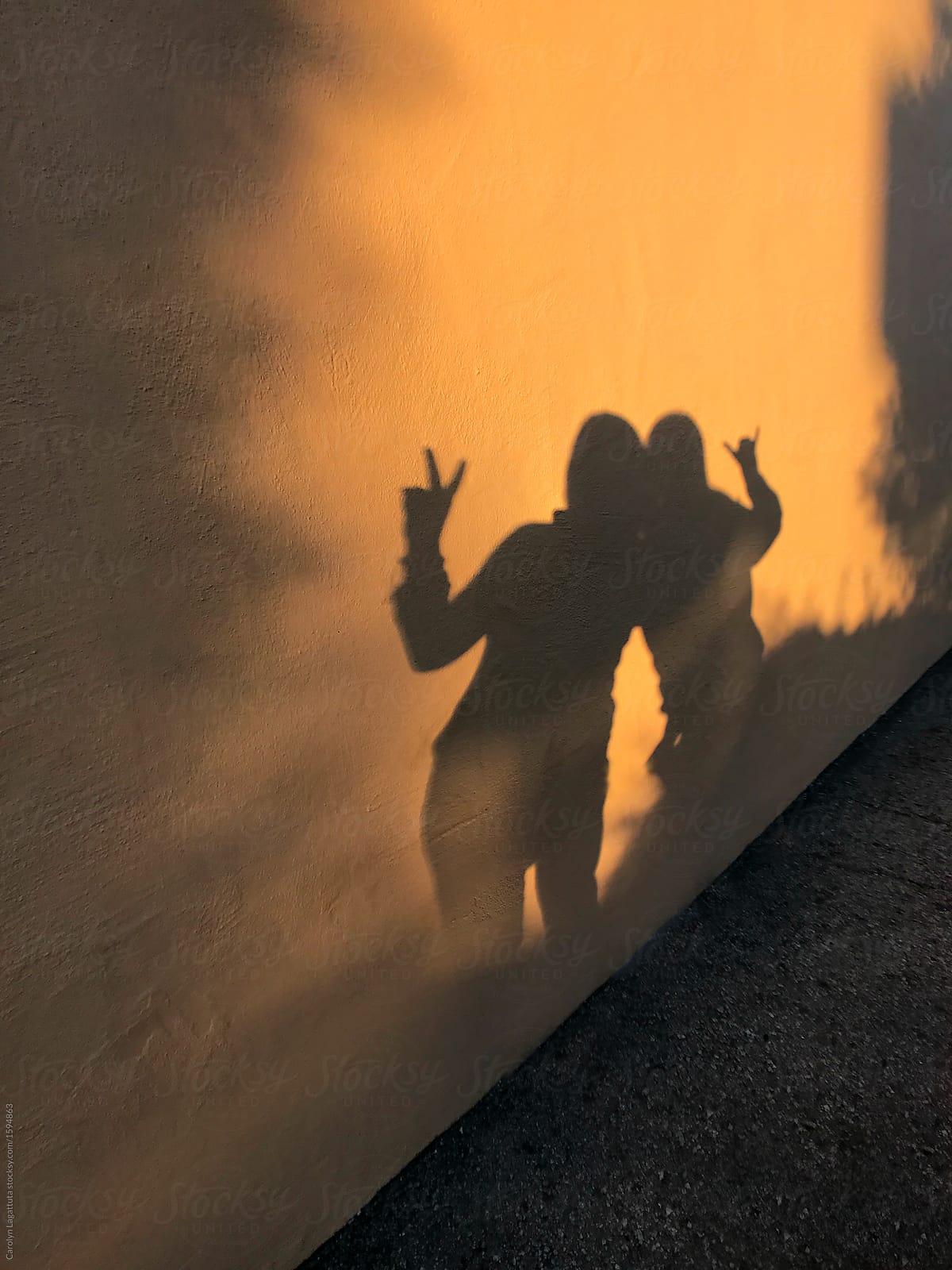 Shadows of two friends on a wall at dusk by Carolyn Lagattuta, Shadow