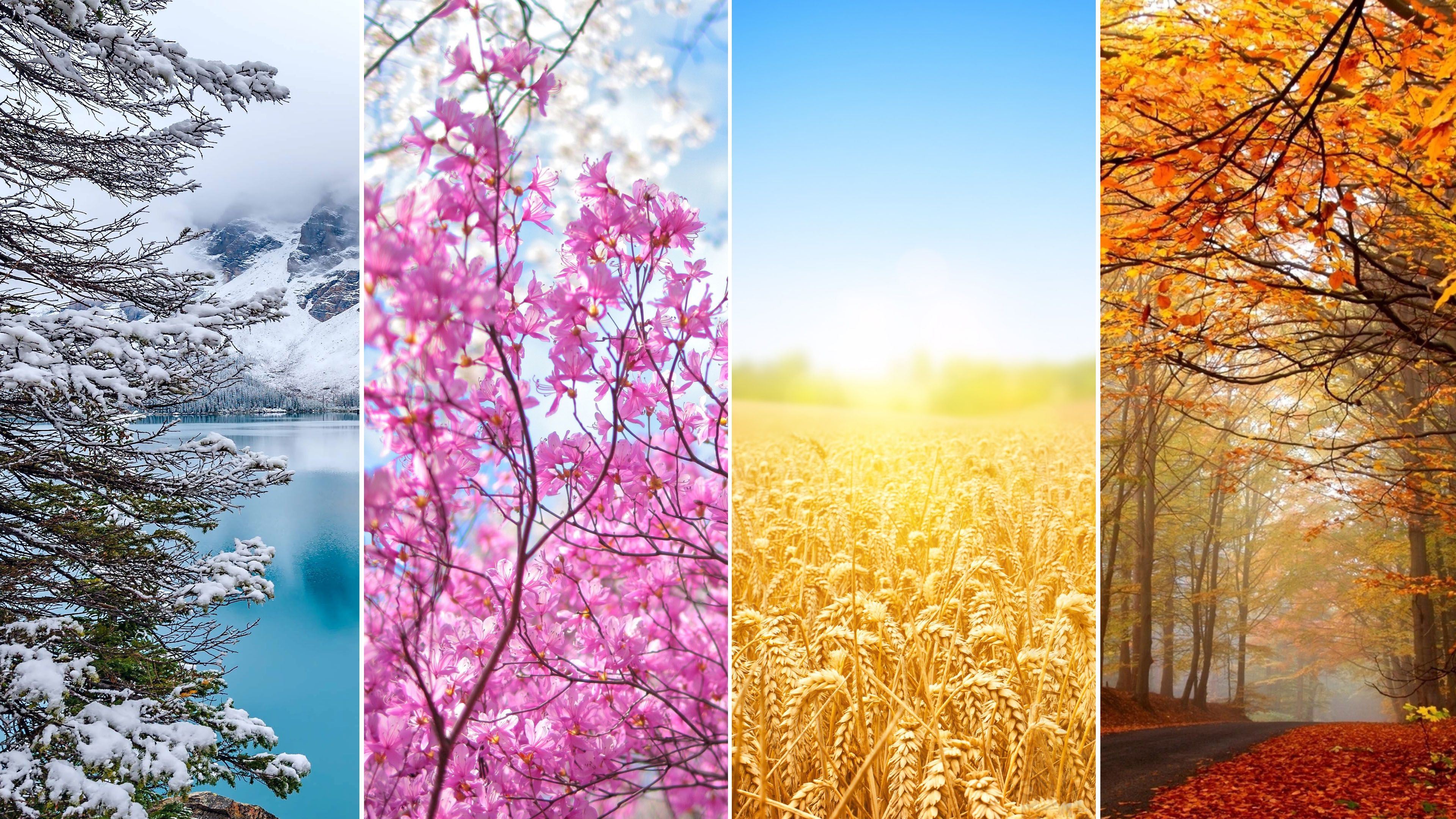 Seasons Wallpaper Free Seasons Background