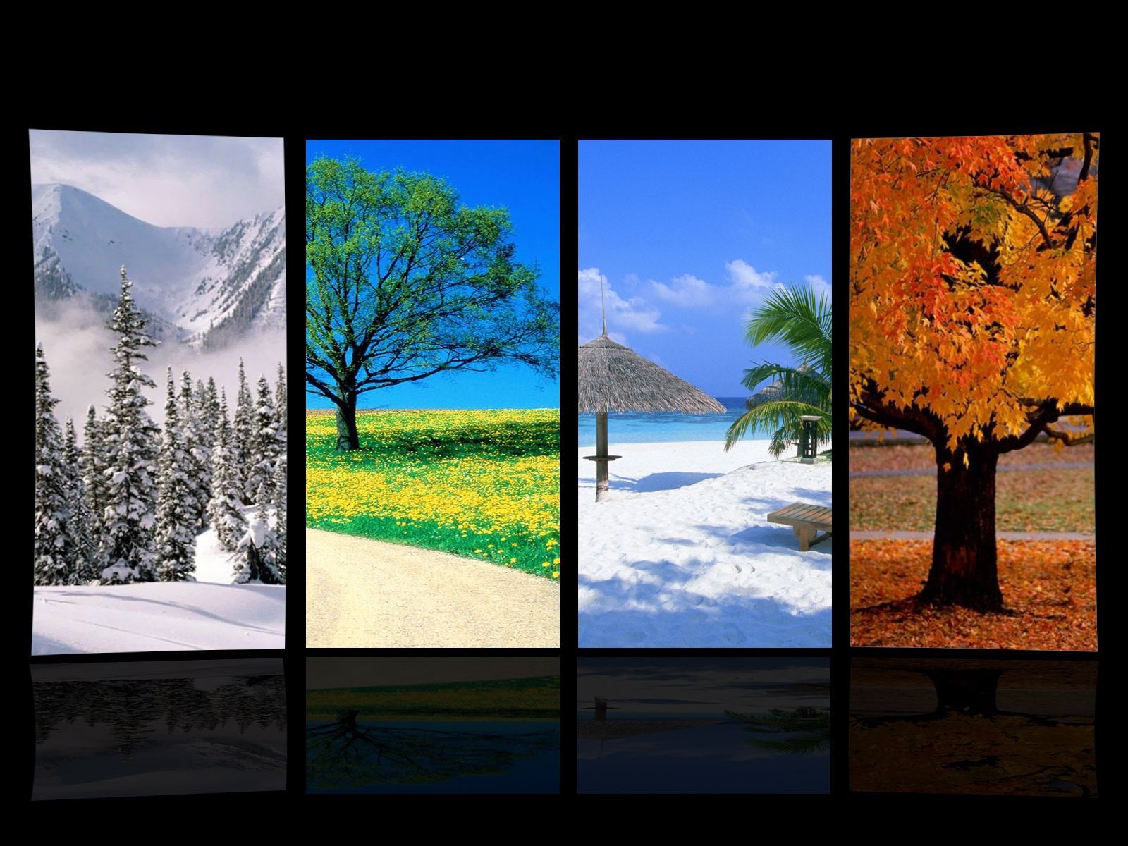 Four Seasons Wallpaper. Spring wallpaper, Four seasons, Seasons