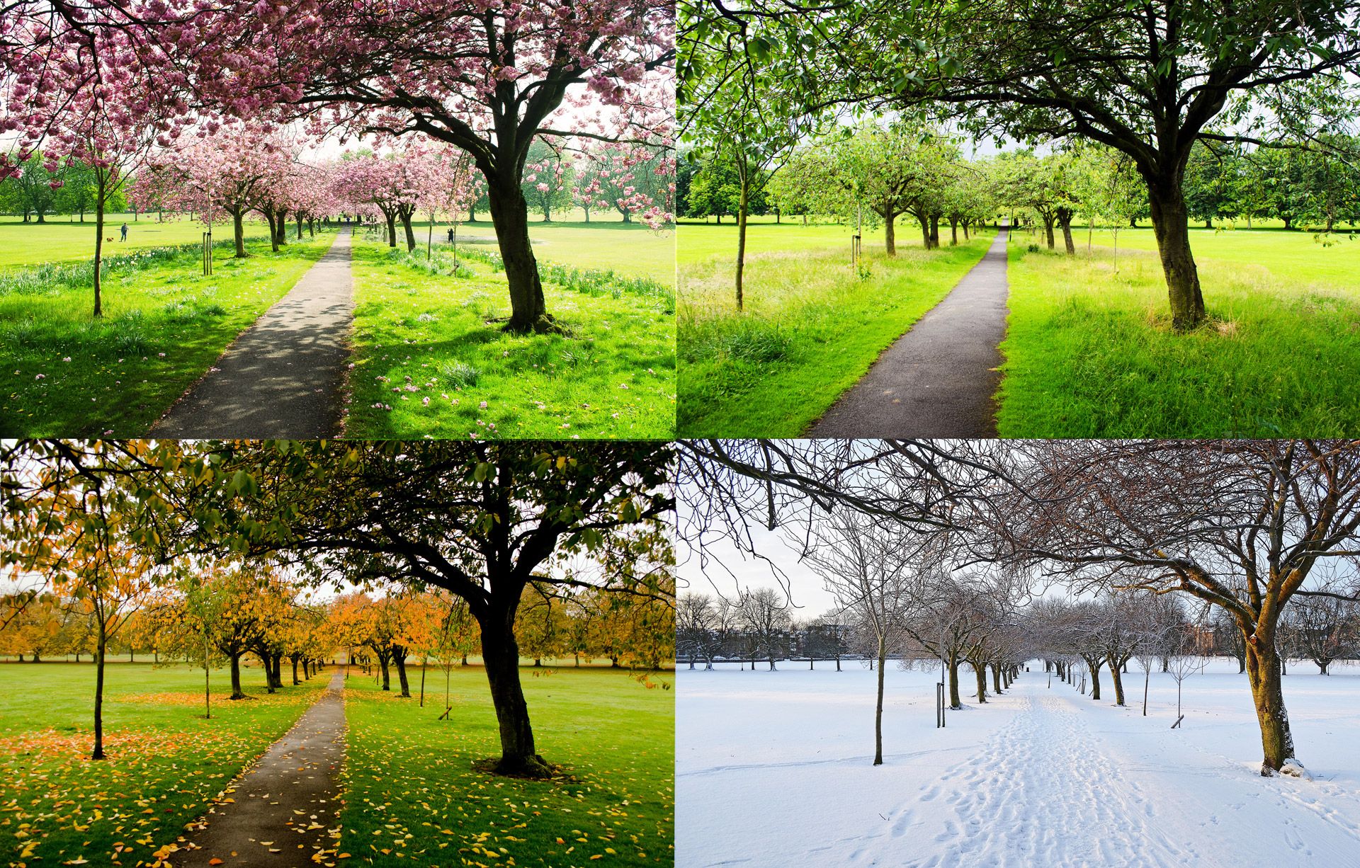 The Four Seasons Free Domain Picture