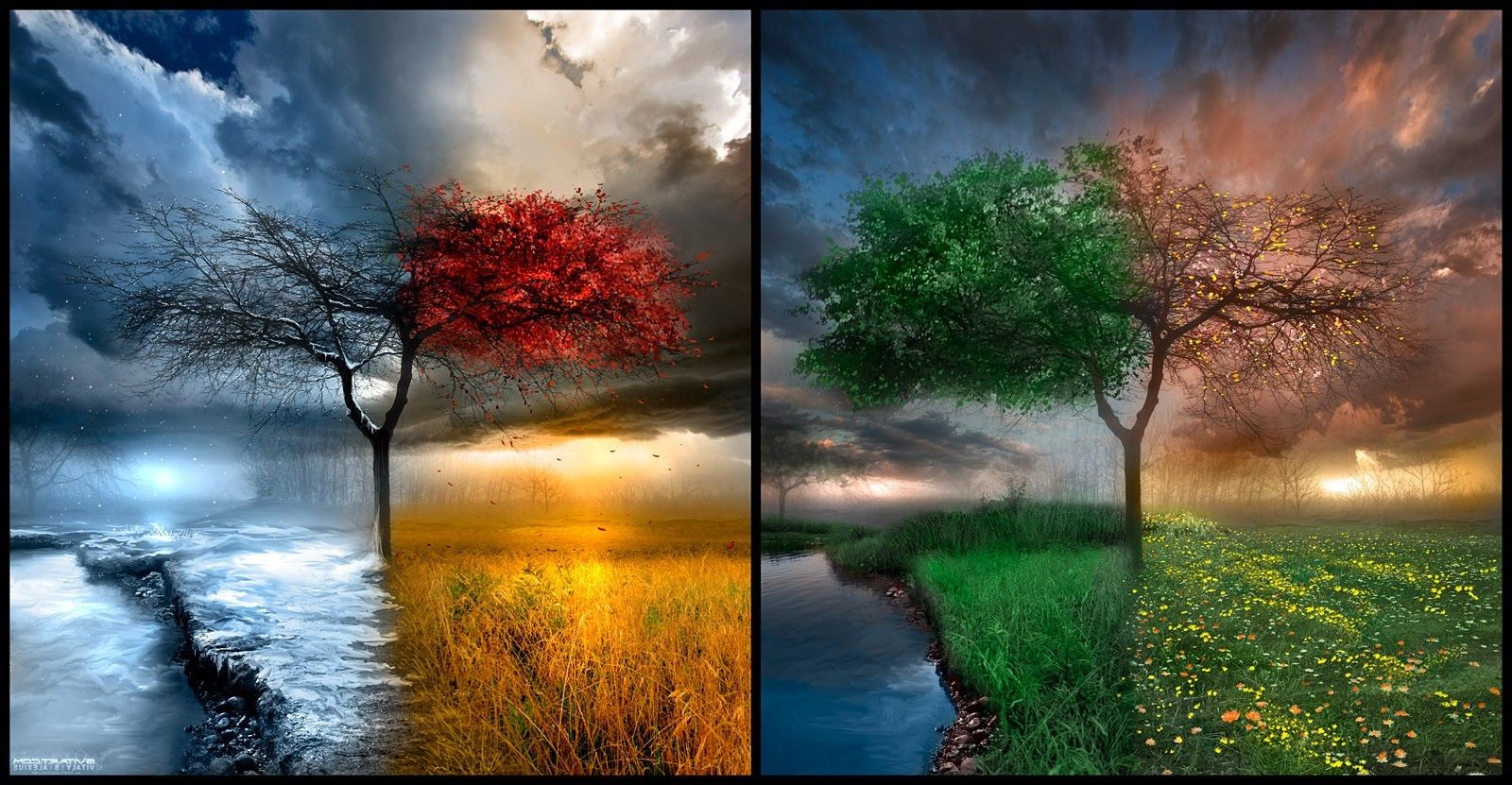 Landscape Trees Water Clouds Seasons Four Seasons Wallpaper In Different Seasons Wallpaper & Background Download