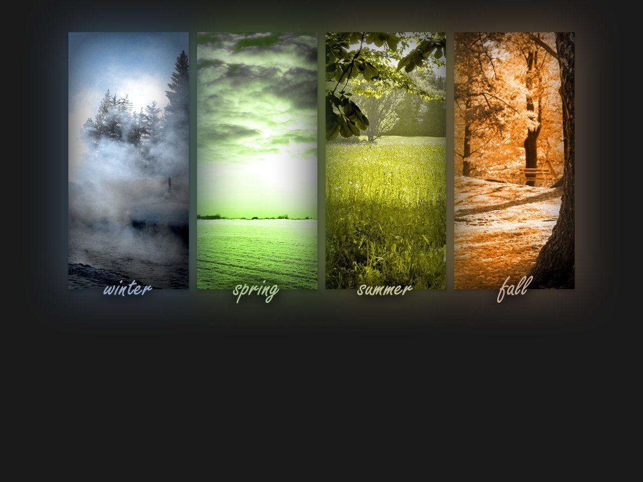 Four Seasons Wallpaper