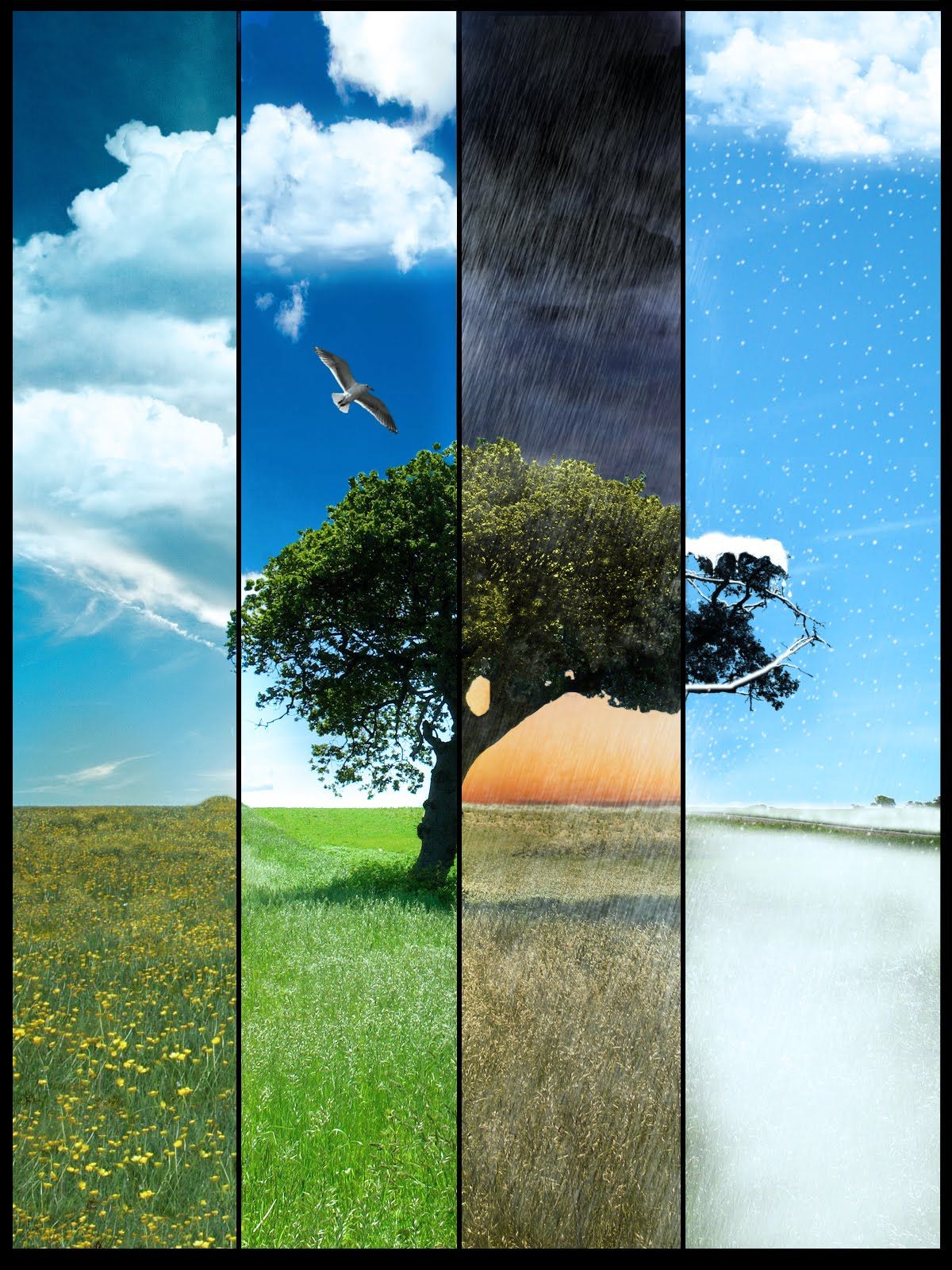 Changing Seasons Desktop Background. Seasons Wallpaper, Seasons Background and Seasons Okami Wallpaper