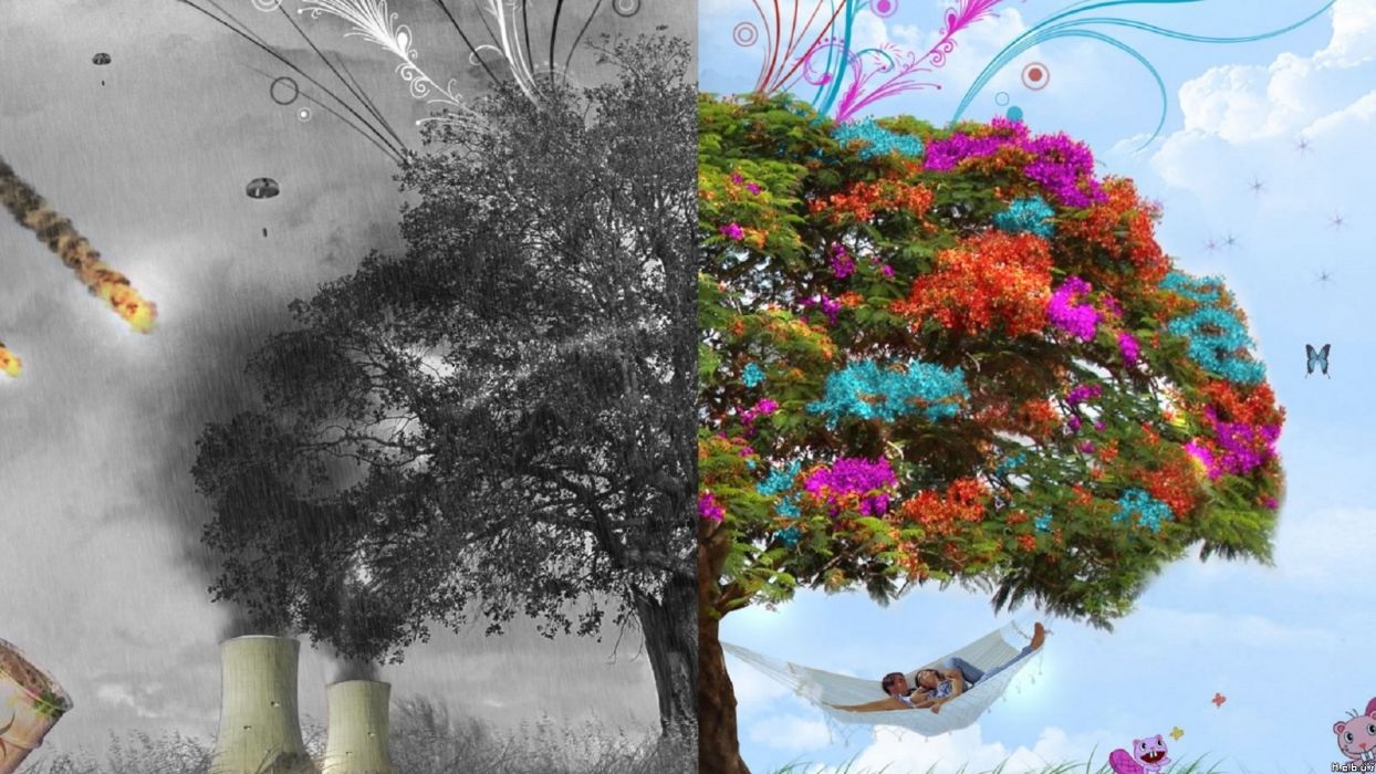 Nature trees seasons digital art four seasons wallpaperx1080