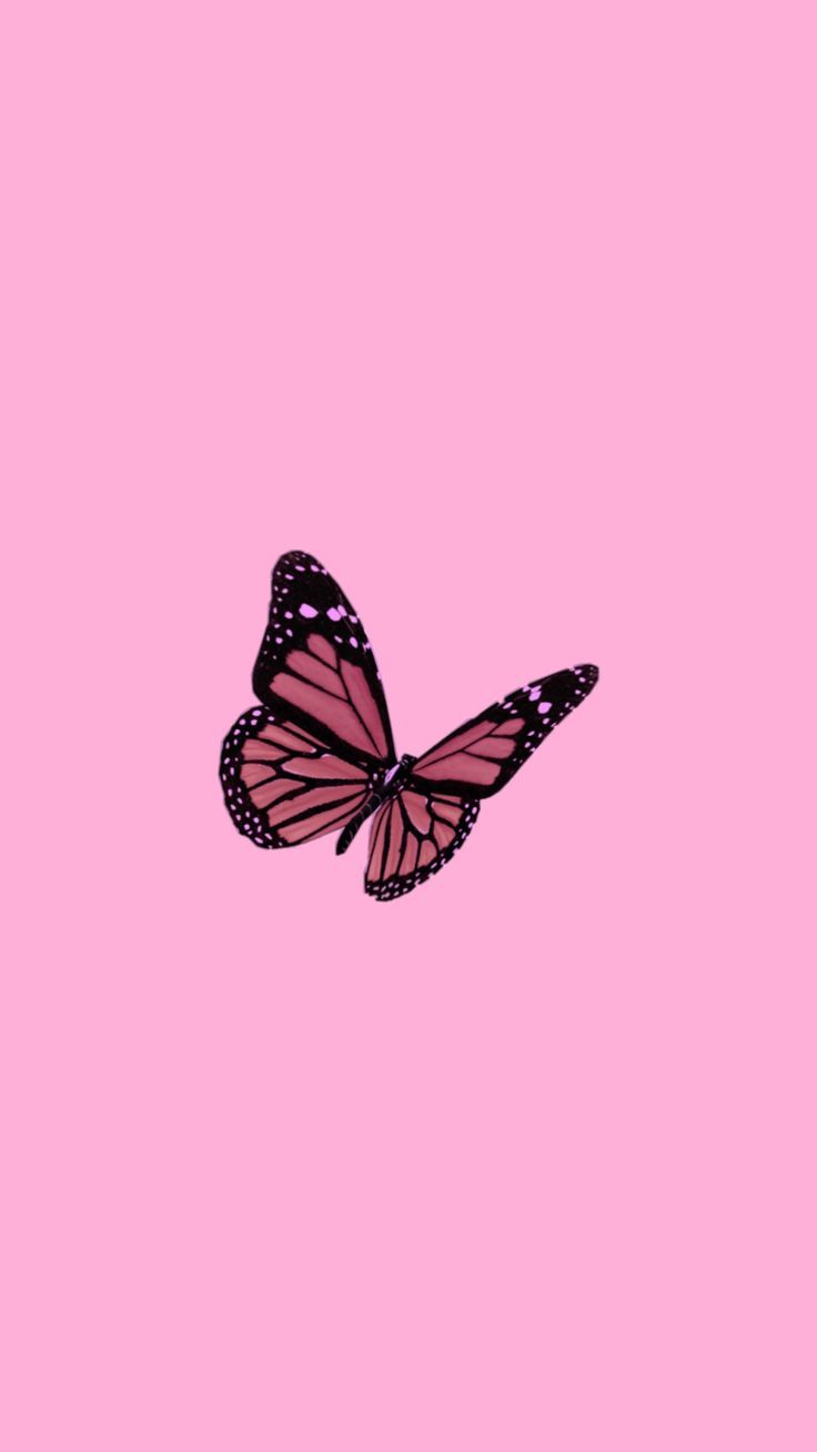 Butterfly wallpaper. Butterfly wallpaper iphone, iPhone wallpaper tumblr aesthetic, Butterfly wallpaper