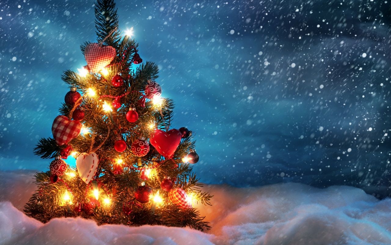 Lovely Christmas Tree wallpaper. Lovely Christmas Tree