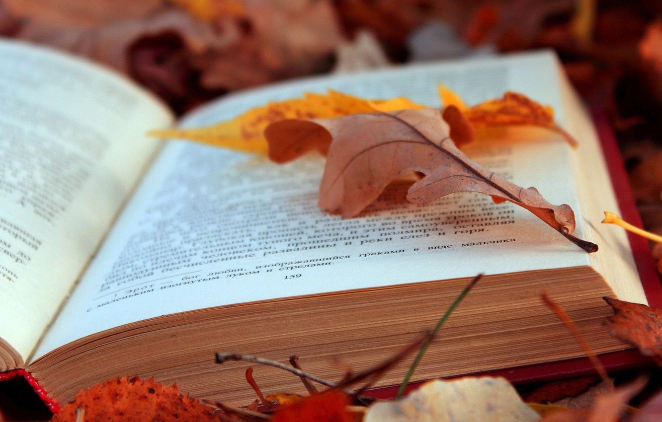 Wallpaper leaves, books, Autumn image for desktop, section природа