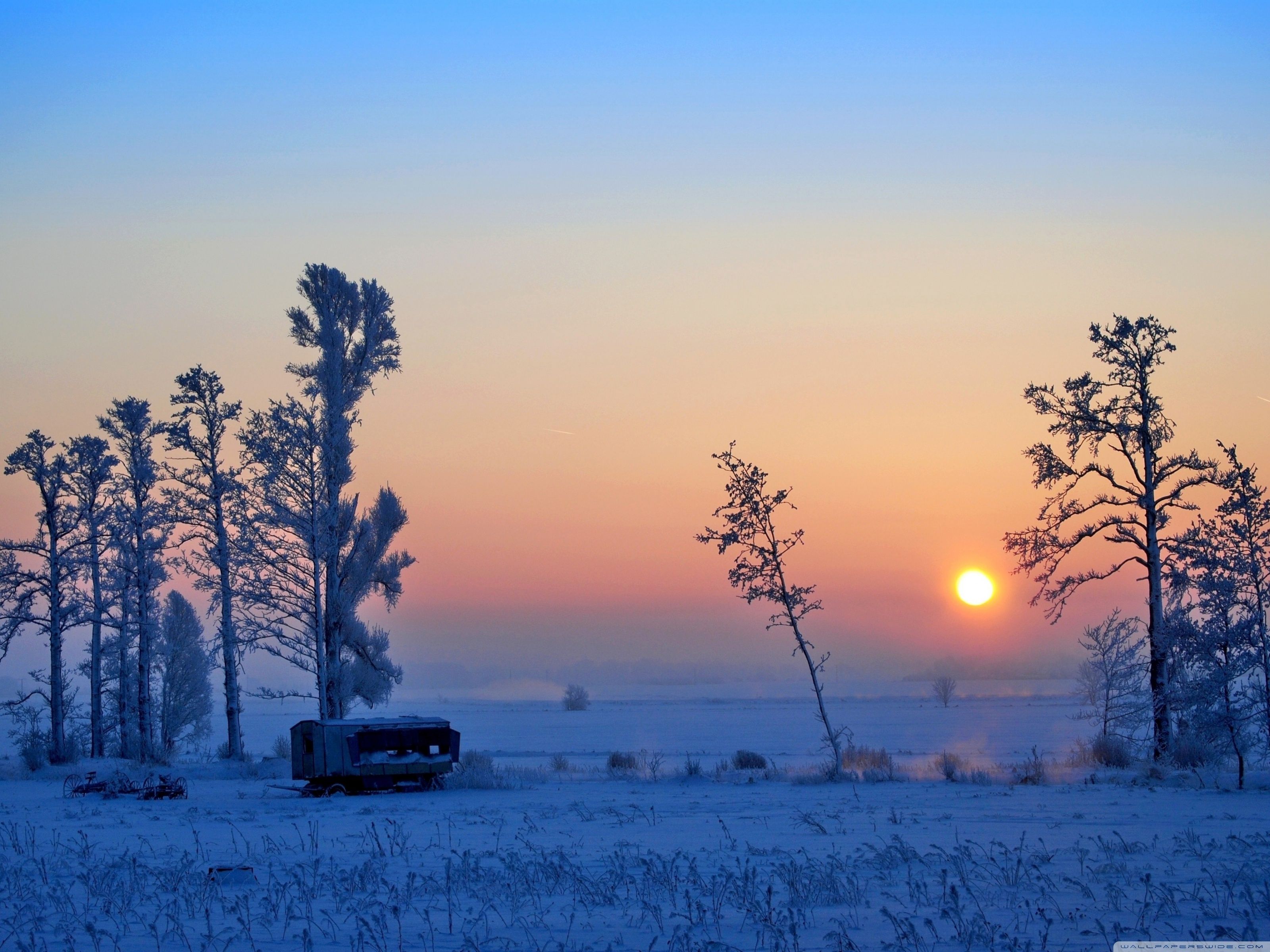 Winter Morning Picture HD