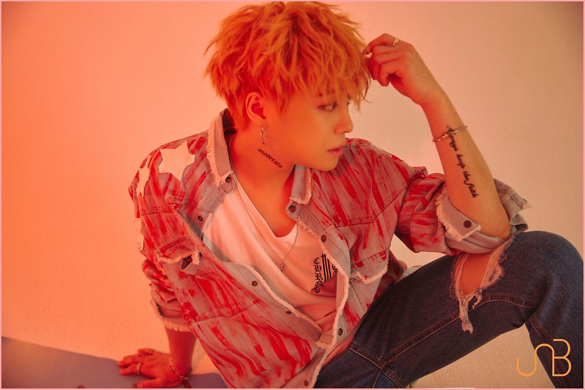 UNB Members Profile (Updated!)