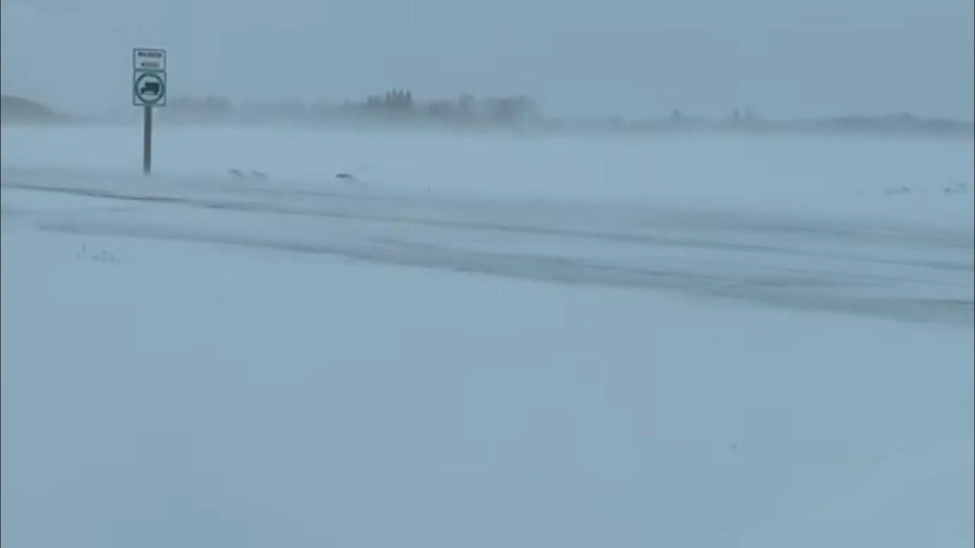 Blizzard conditions in western Saskatchewan