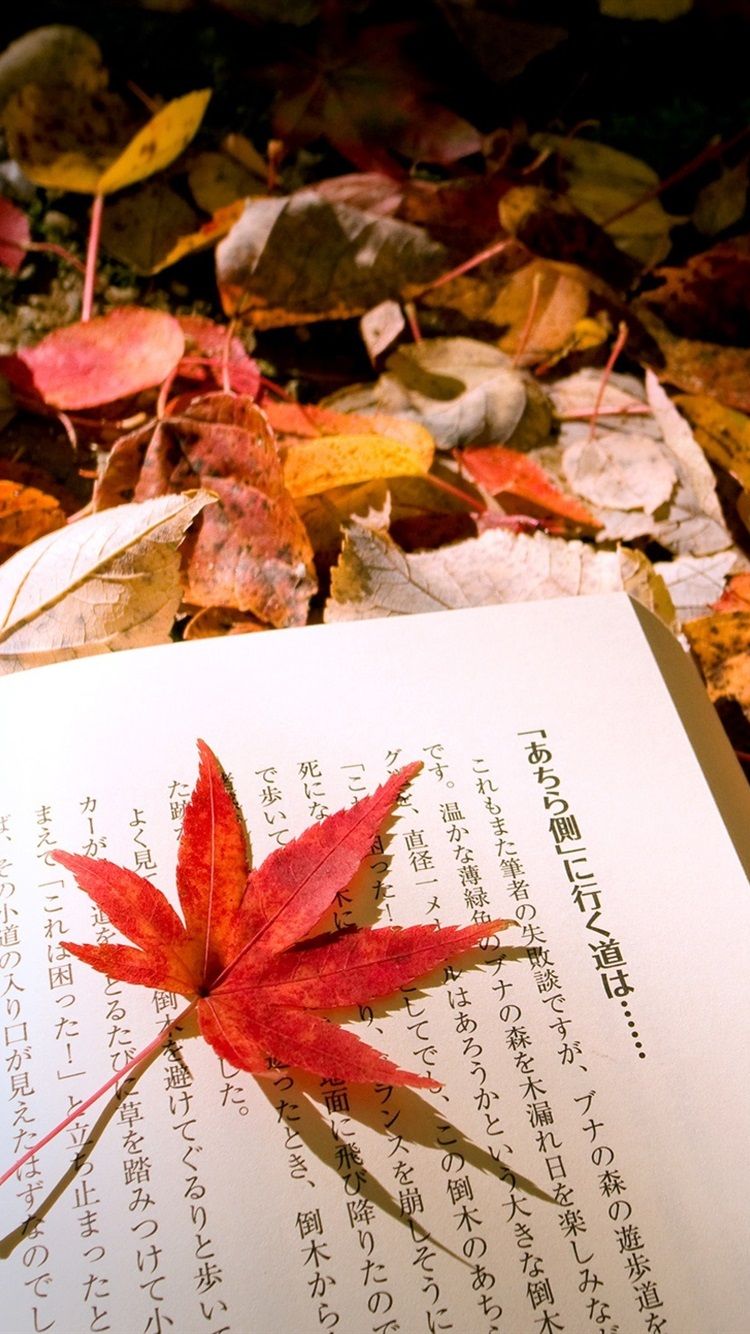 iPhone Wallpaper Autumn Leaves Japanese Book Autumn Wallpaper iPhone
