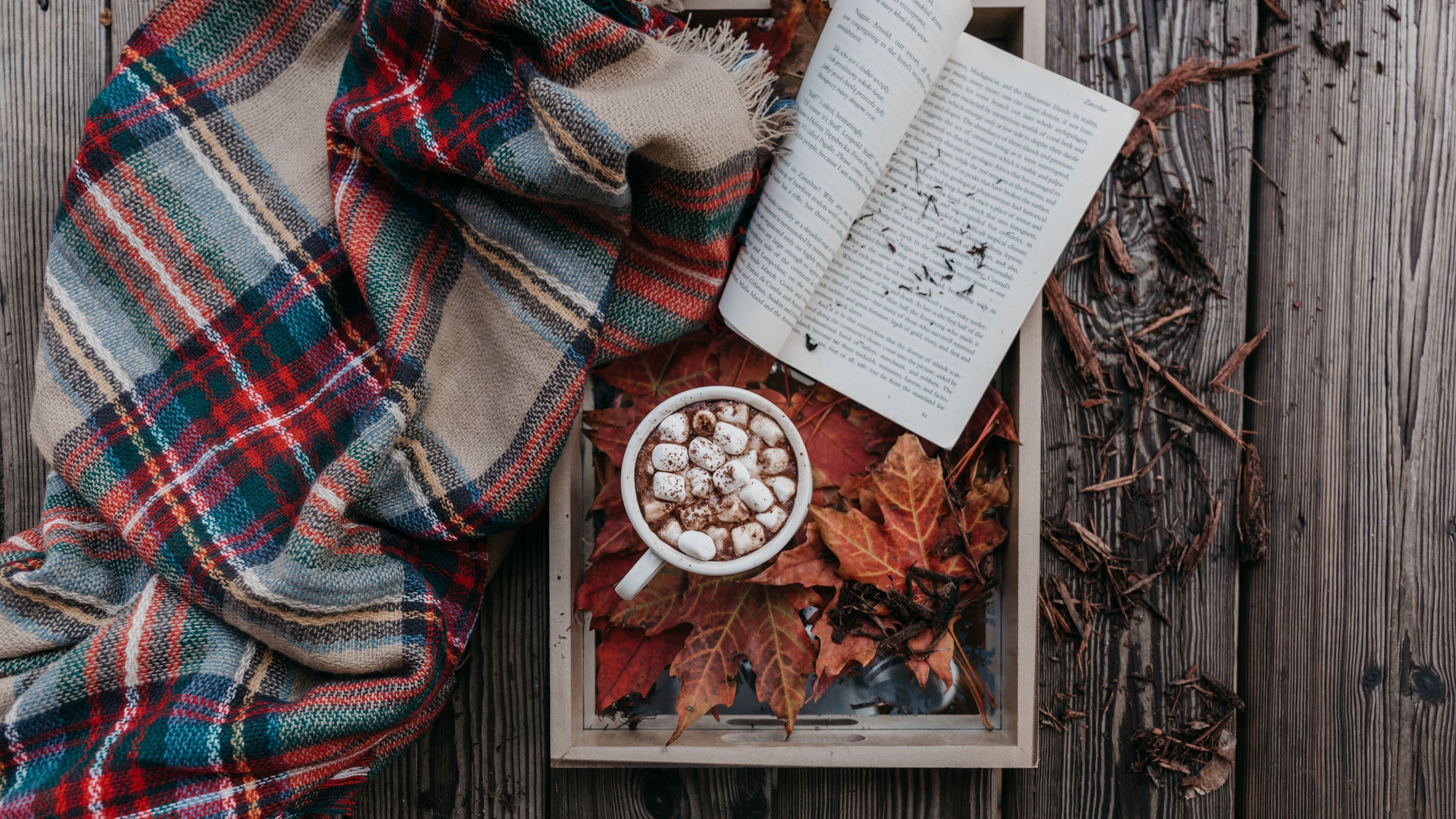 Wallpaper Coffee, cocoa, marshmallow, book, leaves, autumn 3840x2160 UHD 4K Picture, Image