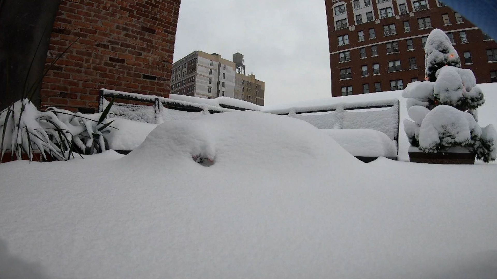Photos & Videos Show Beauty, Chaos Of Major Snowstorm In Tri State Area New York