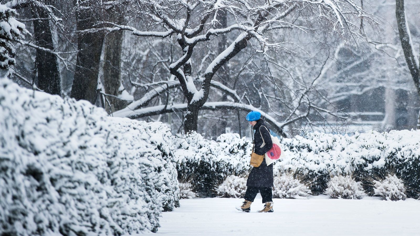 New York City Braces for Snowstorm of Up to 8 Inches