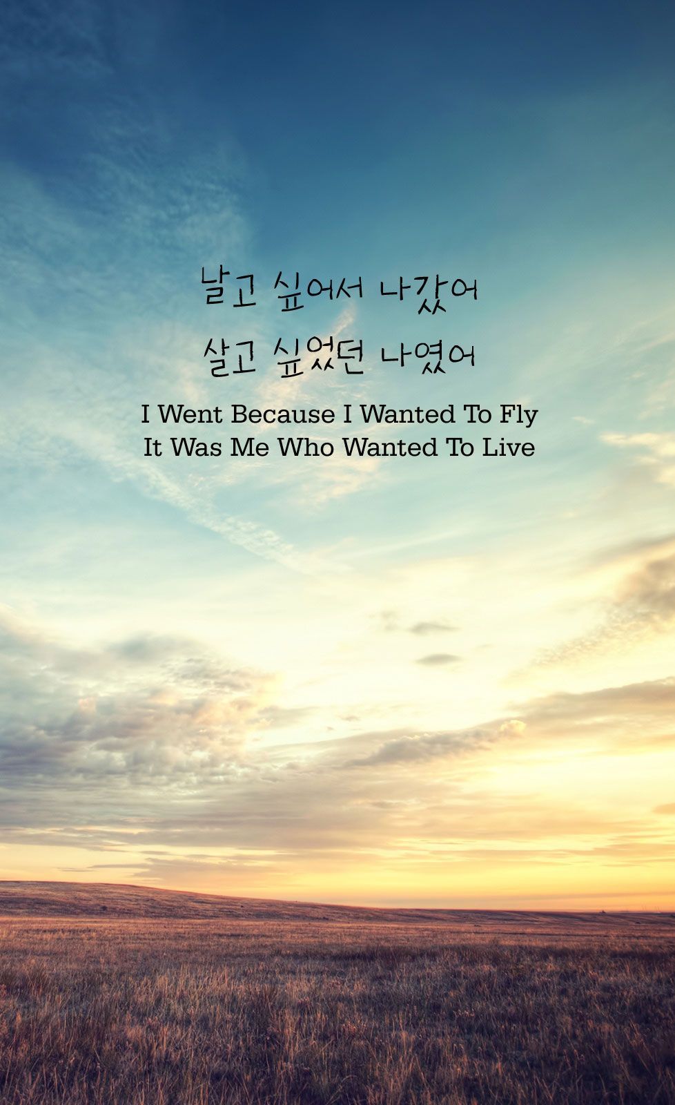 I Went Because I Wanted To Fly, It Was Me Who Wanted To Live (날고 싶어서 나갔어, 살고 싶었던 나였어) #글님. Korean quotes, Korea quotes, Korean phrases
