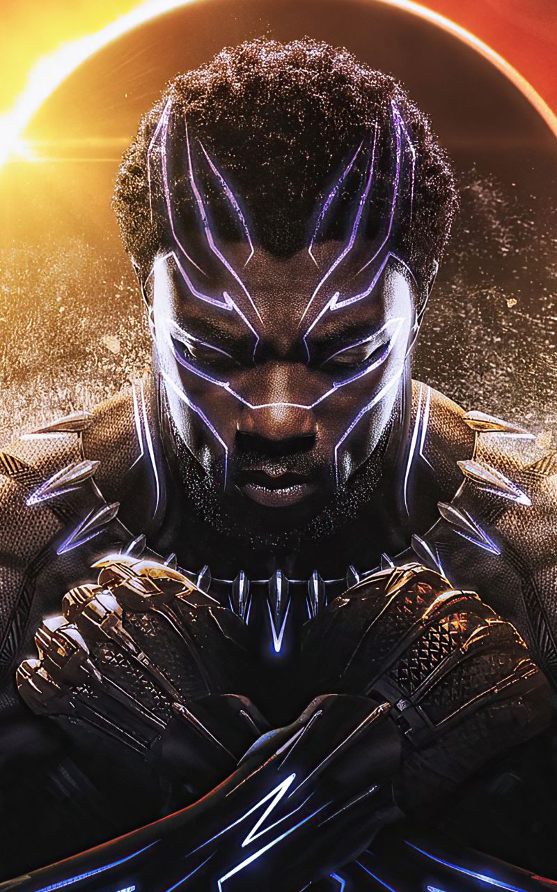 Download 800x1280 Wallpaper Black Panther, Wakanda King, Samsung Galaxy Note Gt N Meizu Mx 800x1280 HD Image Background
